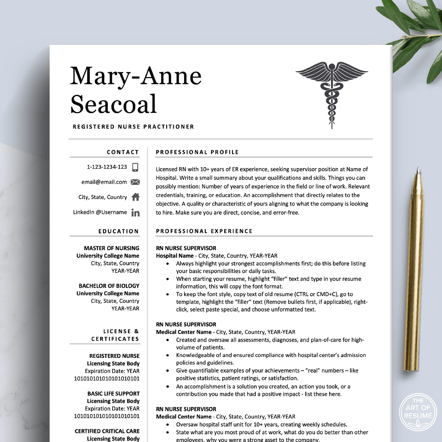 Nurse Student CV Resume Builder | Doctor CV with Resume Writing Guide (FREE) - The Art of Resume