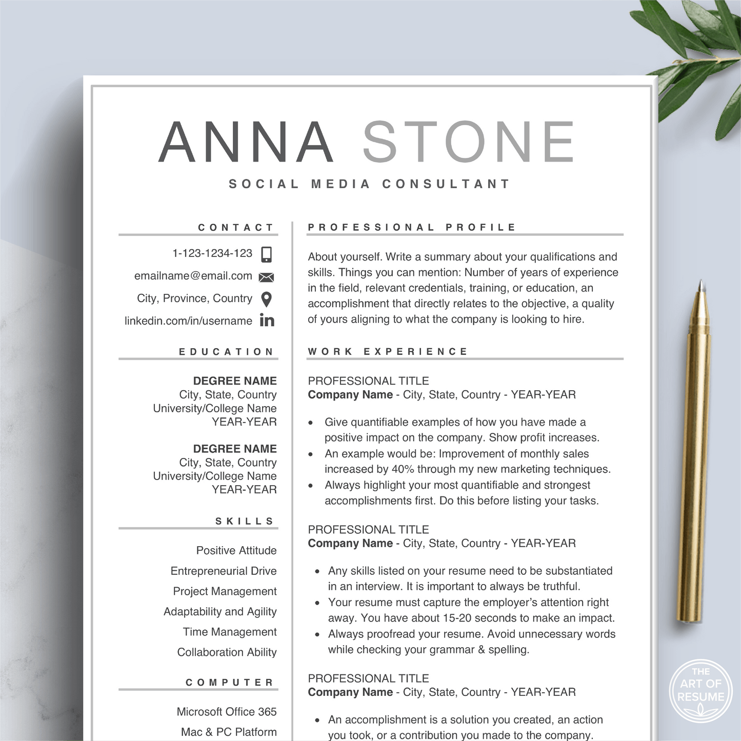 Simple Resume | Professional Resume | Free Resume Writing Guide - The Art of Resume