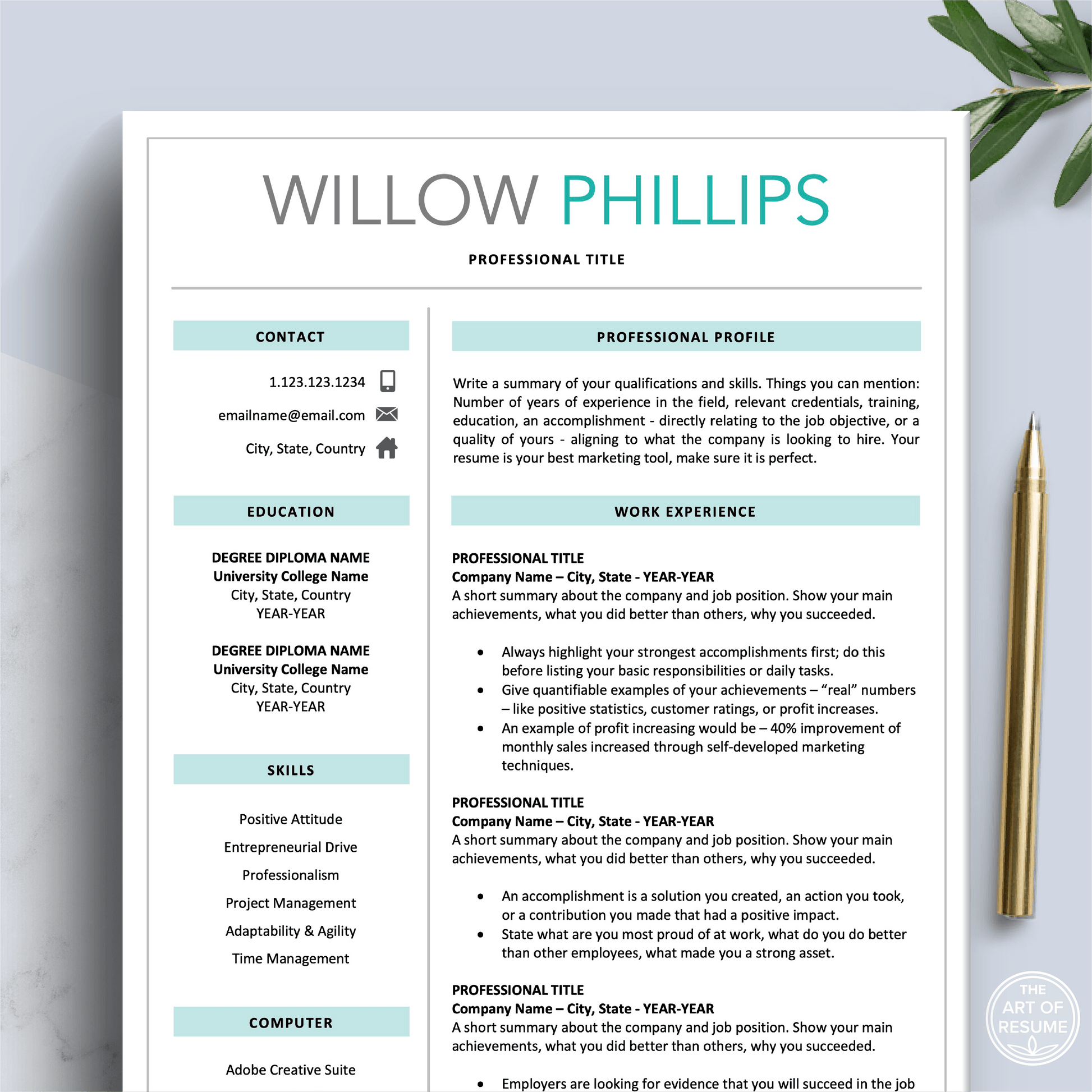 Professional Resume Template Bundles, Executive Resume Design - The Art of Resume