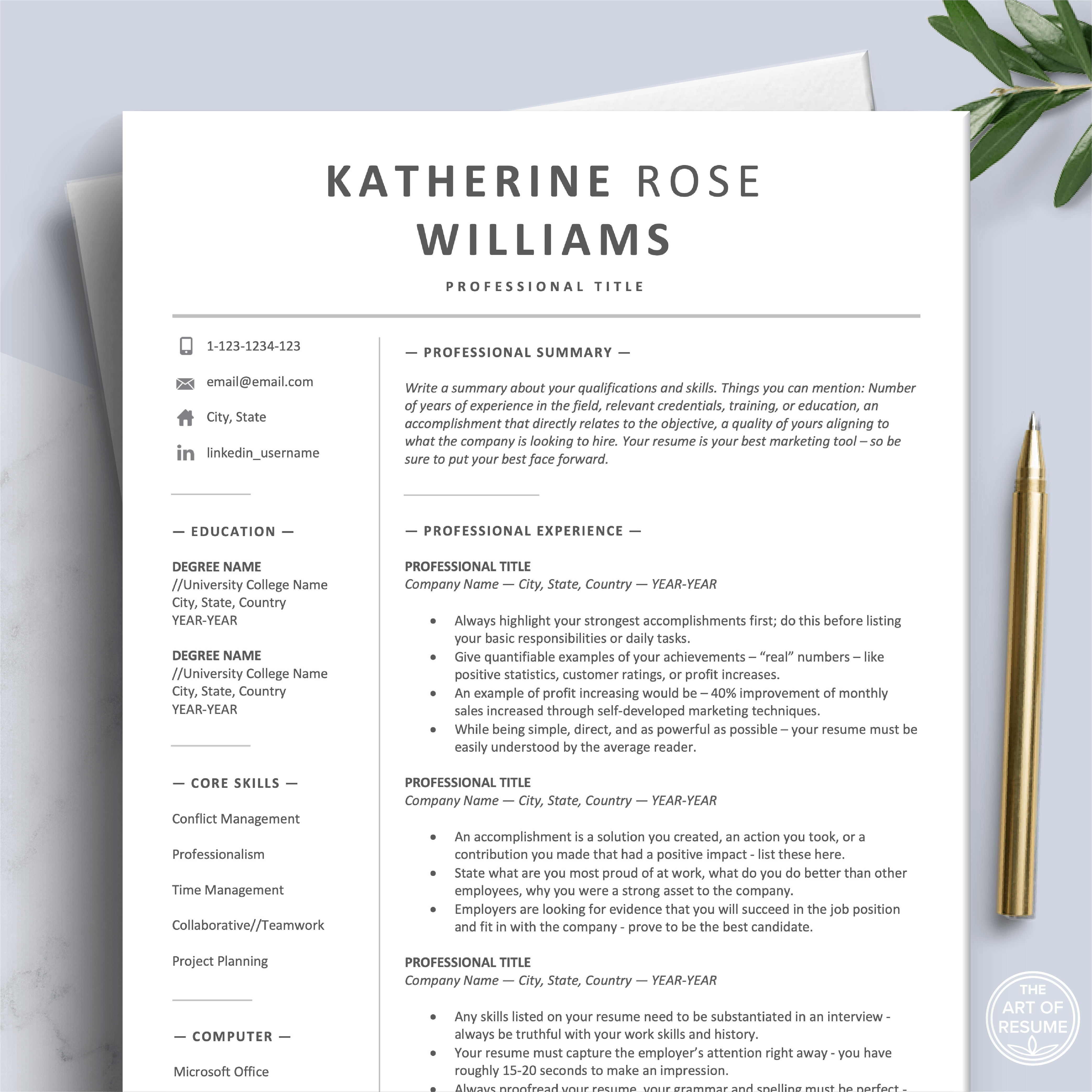 Professional Resume Design 