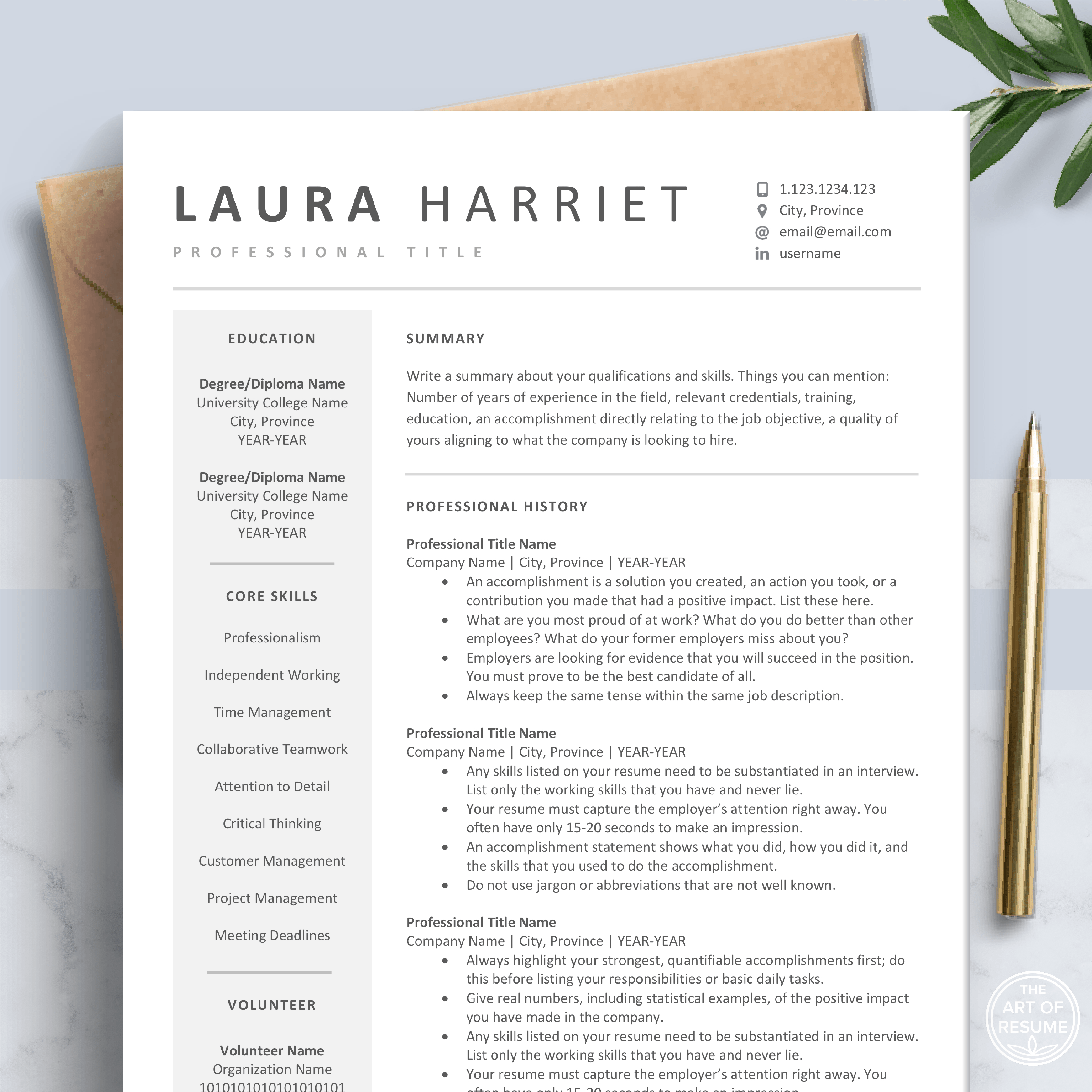 Professional Resume Templates 