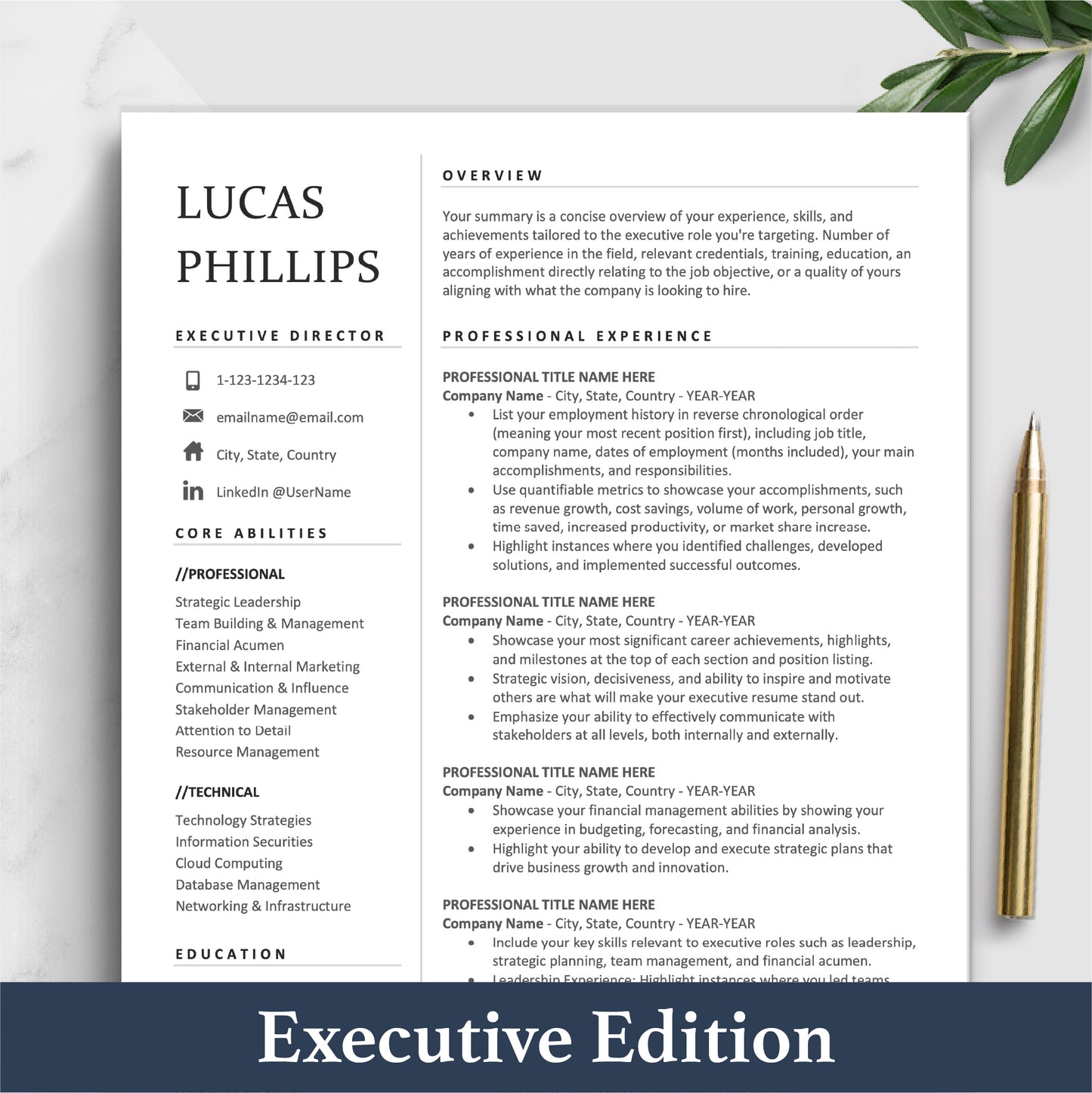 The Art of Resume | Simple Executive Resume Template Design