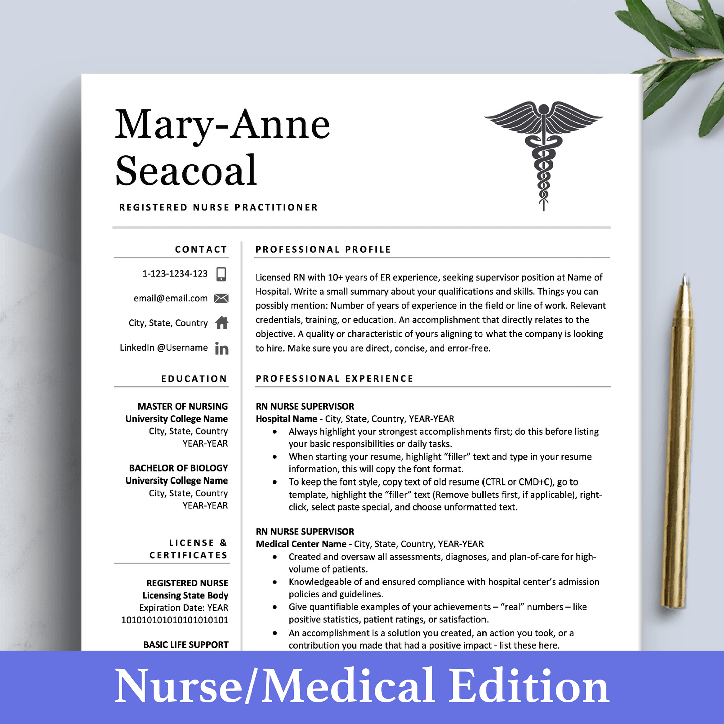 Nurse Student CV Resume Builder | Doctor CV with Resume Writing Guide (FREE) - The Art of Resume
