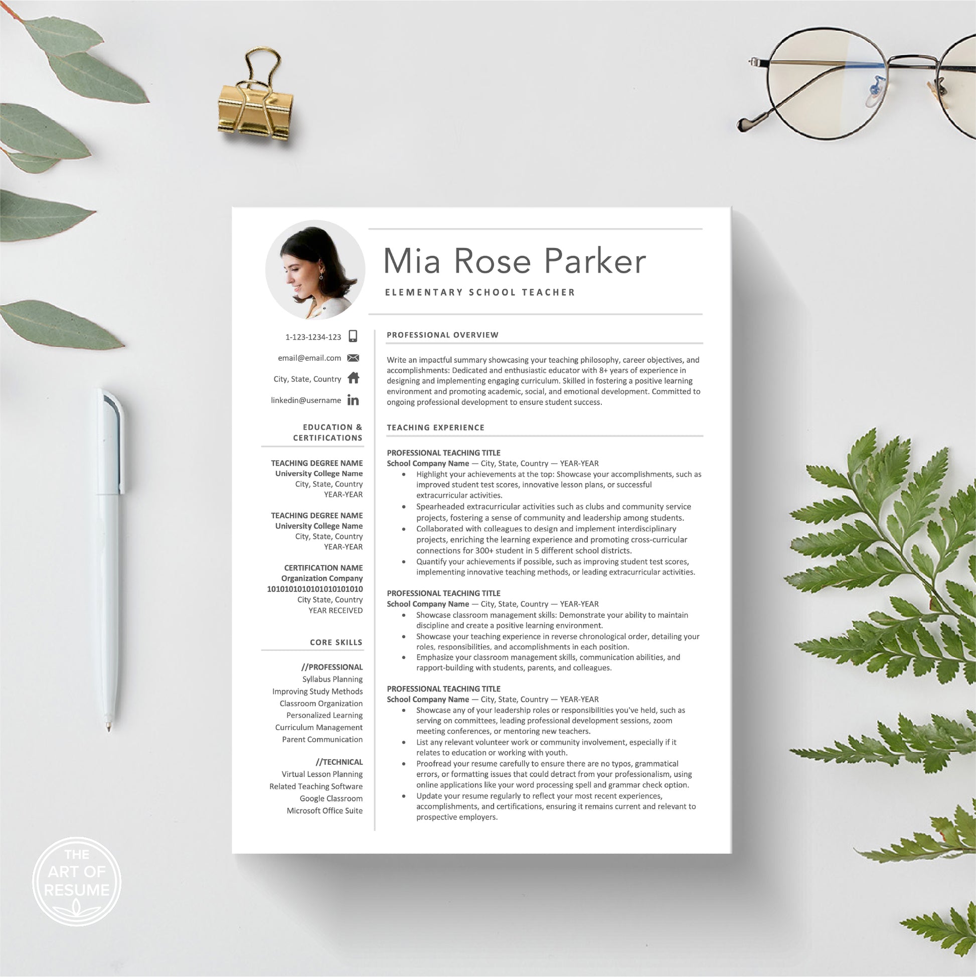 The Art of Resume Templates |  Bonus 250 Free Professional Resume CV Icons, Images PNG