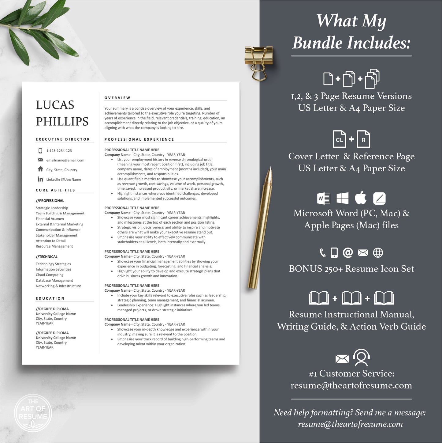 The Art of Resume | Simple Executive Resume Template Design | What is included