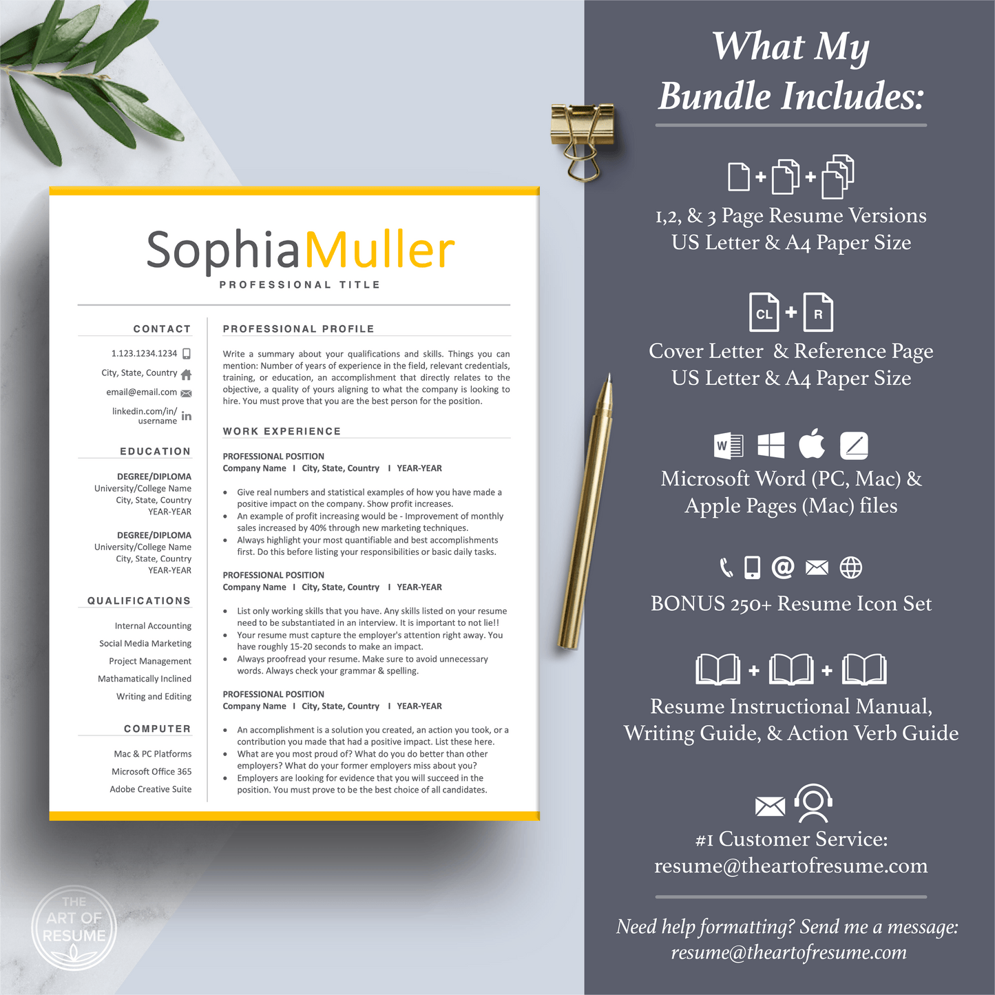 Professional Resume CV Template | Executive Resume Format | Resume Writing Guide - The Art of Resume