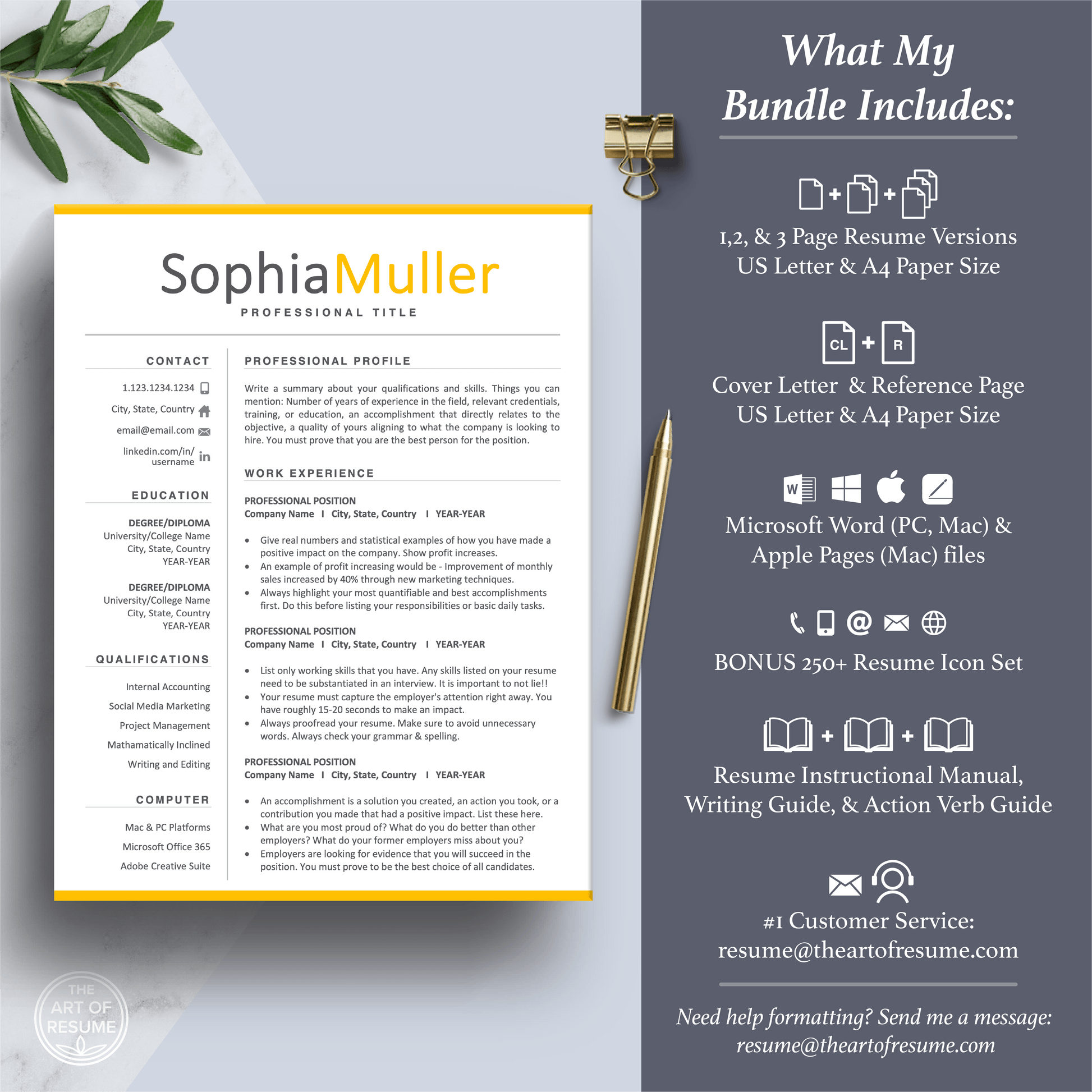 Professional Resume CV Template | Executive Resume Format | Resume Writing Guide - The Art of Resume