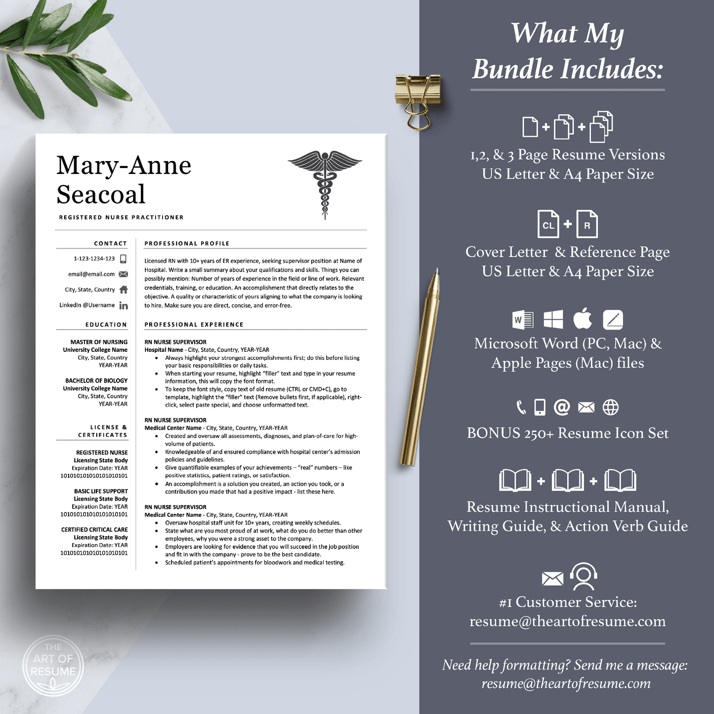 Nurse Student CV Resume Builder | Doctor CV with Resume Writing Guide (FREE) - The Art of Resume