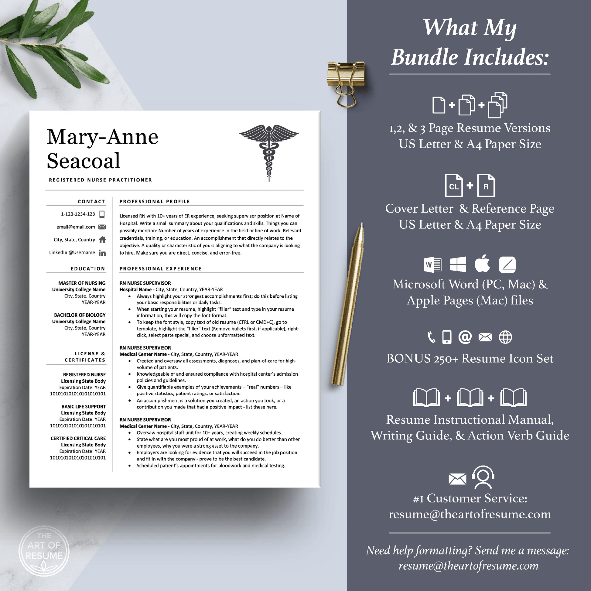 Nurse Student CV Resume Builder | Doctor CV with Resume Writing Guide (FREE) - The Art of Resume