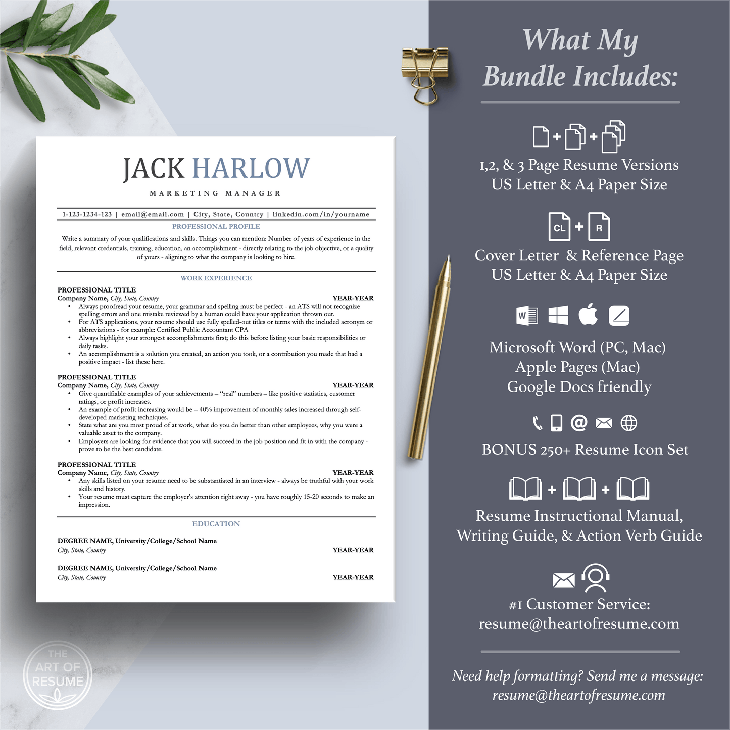 Professional ATS Resume CV Template | Applicant Tracking System Friendly | One-Column CV - The Art of Resume