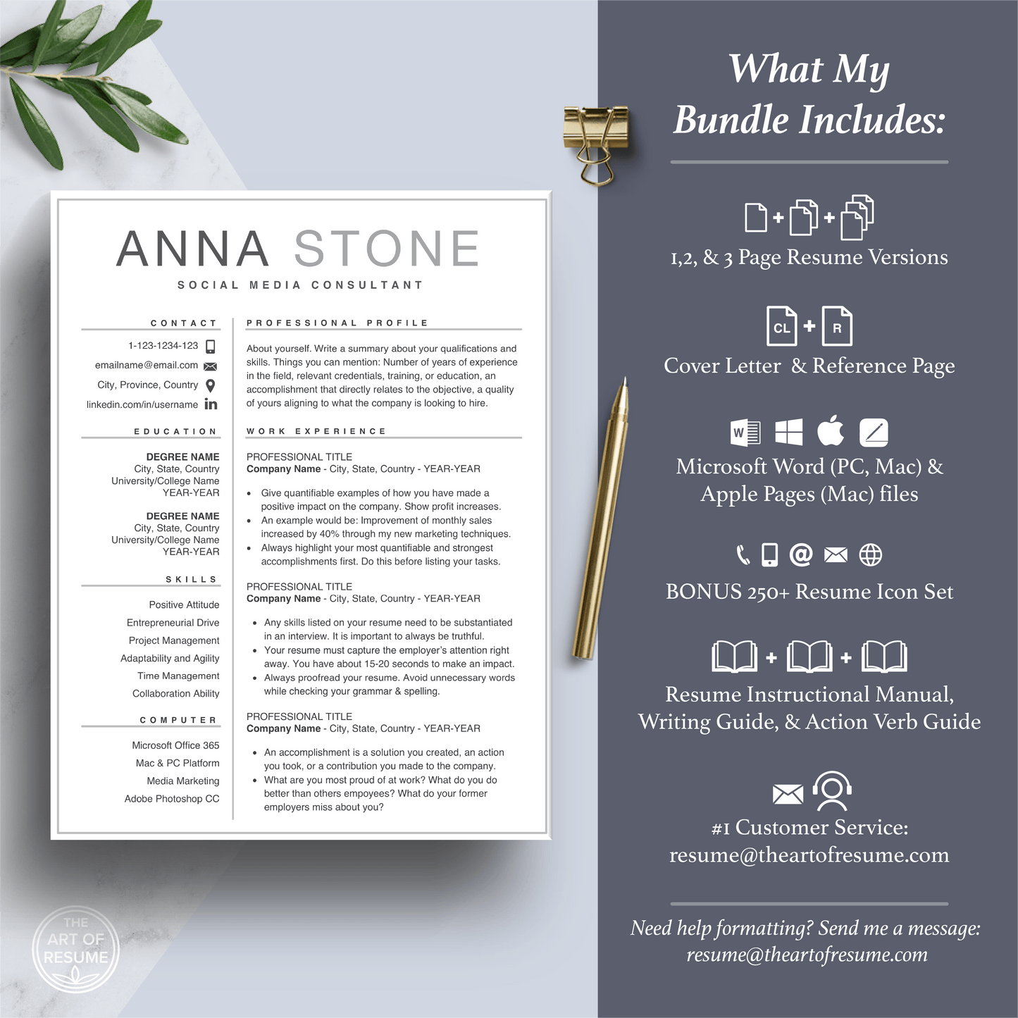 Simple Resume | Professional Resume | Free Resume Writing Guide - The Art of Resume