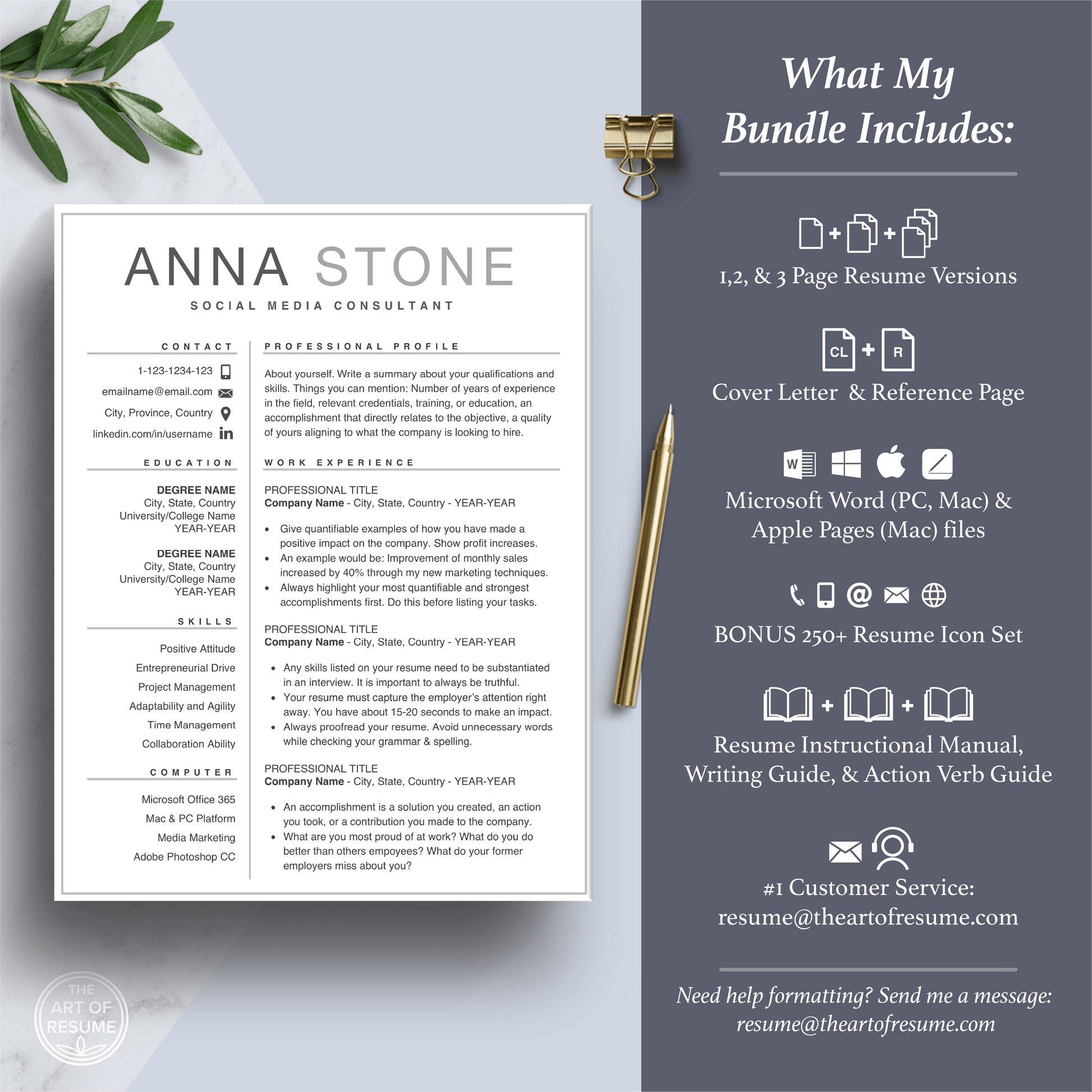 Simple Resume | Professional Resume | Free Resume Writing Guide - The Art of Resume
