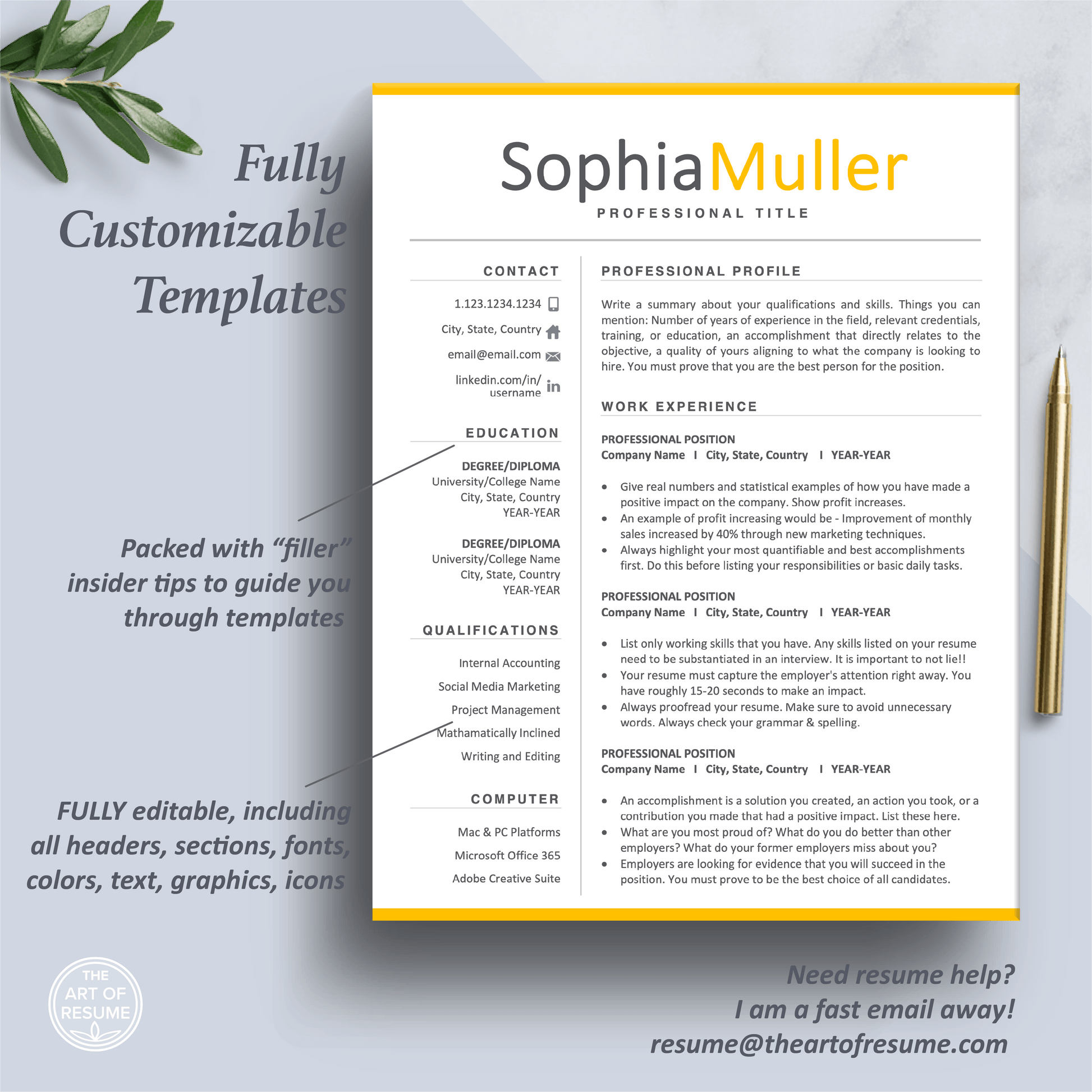 Professional Resume CV Template | Executive Resume Format | Resume Writing Guide - The Art of Resume