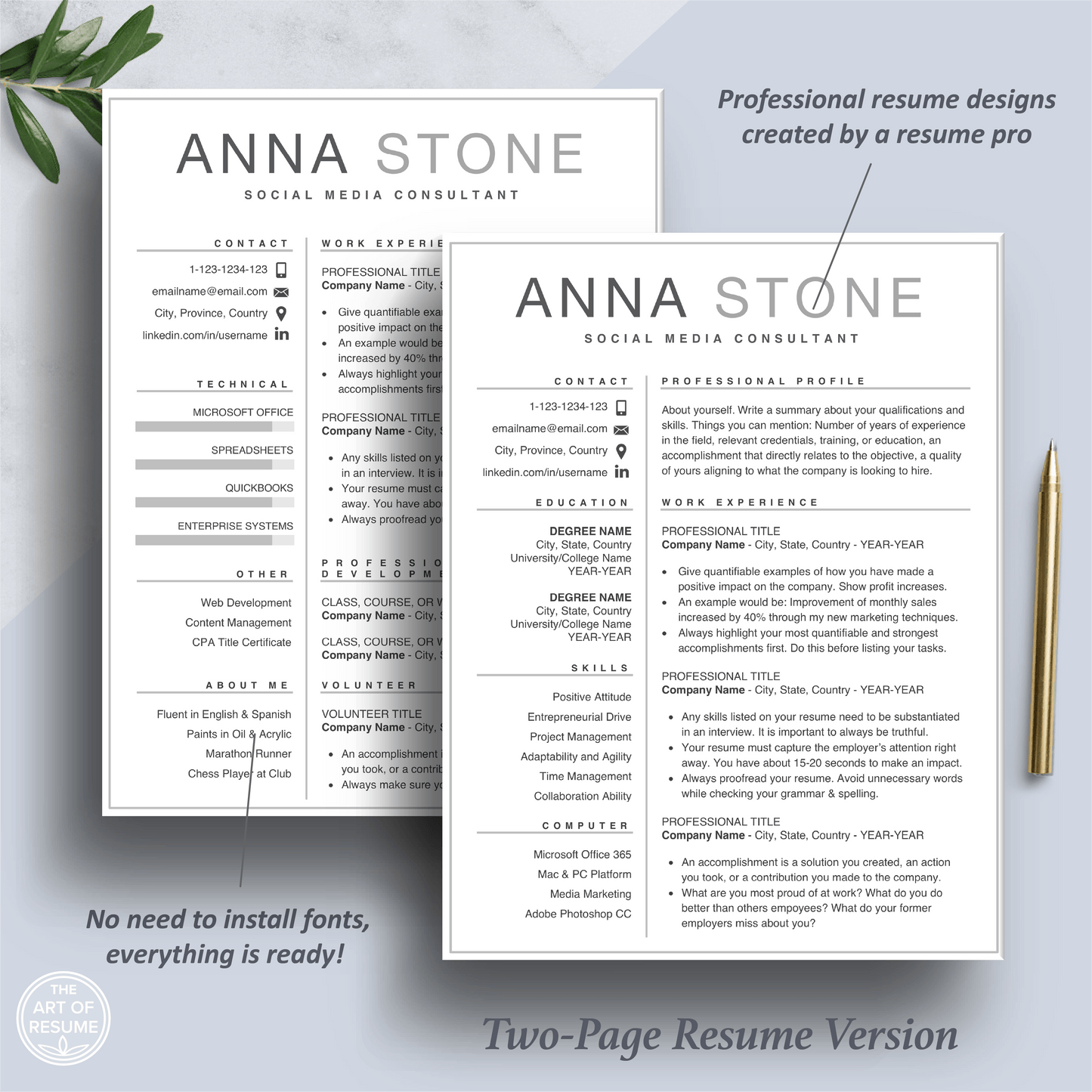 Simple Resume | Professional Resume | Free Resume Writing Guide - The Art of Resume