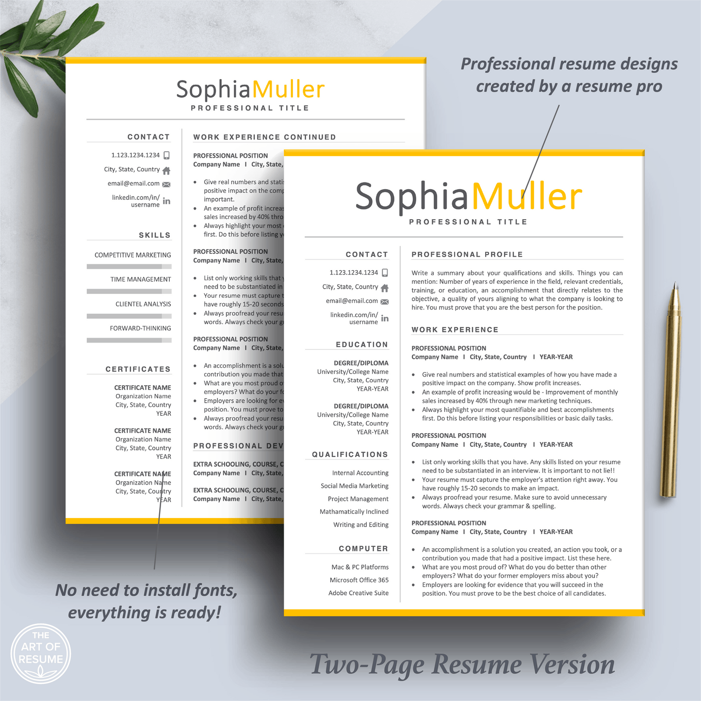 Professional Resume CV Template | Executive Resume Format | Resume Writing Guide - The Art of Resume