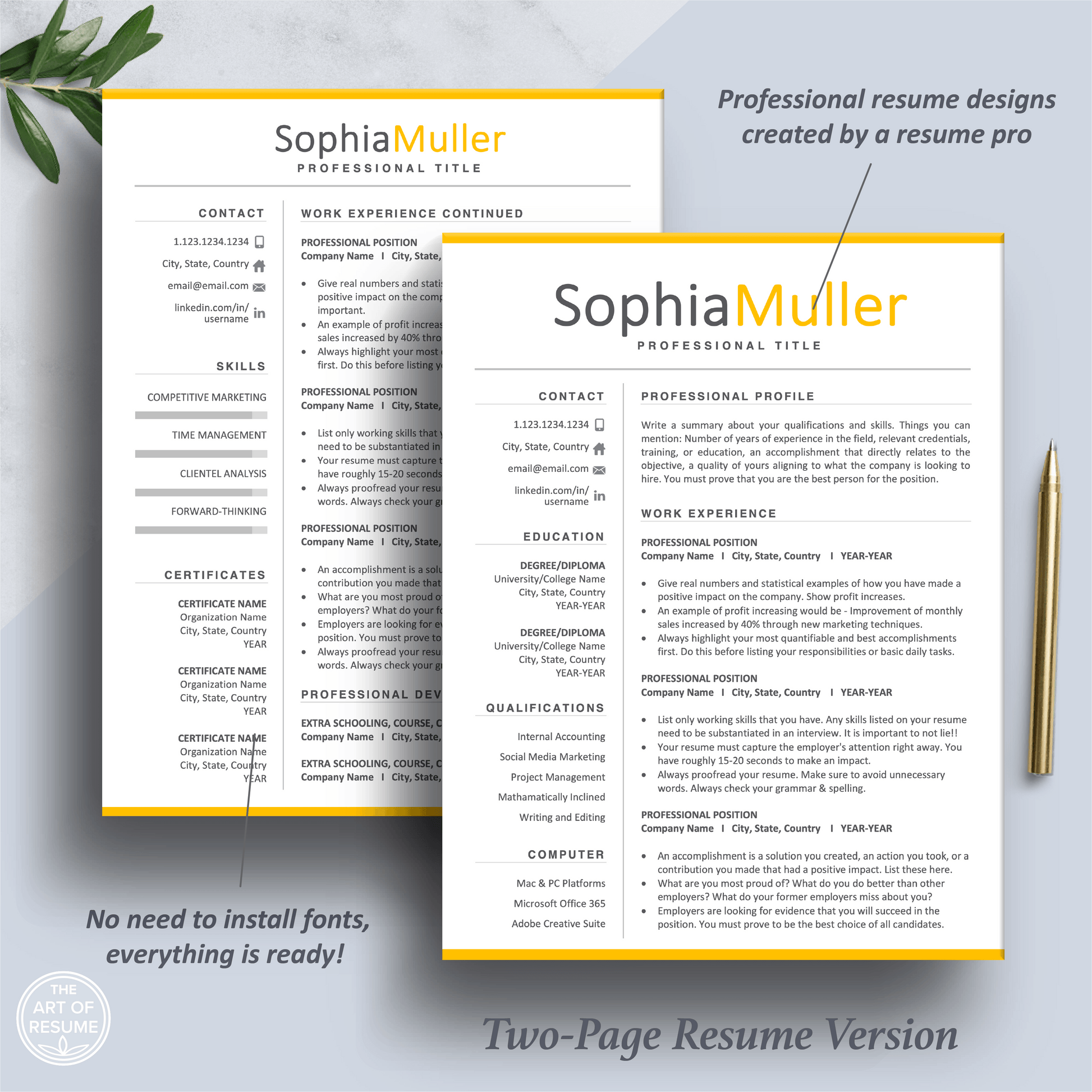 Professional Resume CV Template | Executive Resume Format | Resume Writing Guide - The Art of Resume