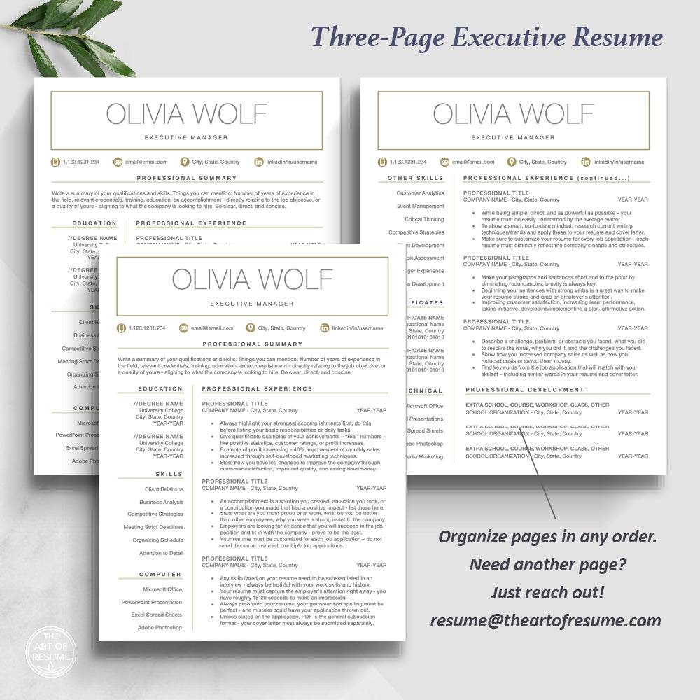 The Art of Resume Templates | Three-Page Executive CEO C-Suite Level Resume CV Design Template Builder Maker | Curriculum Vitae