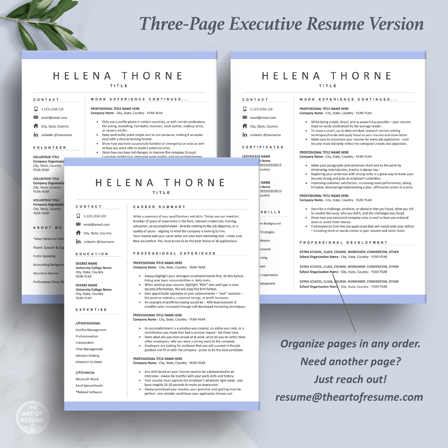 The Art of Resume Templates | Three-Page Professional Executive CEO C-Suite Level Resume CV Template Format | Curriculum Vitae