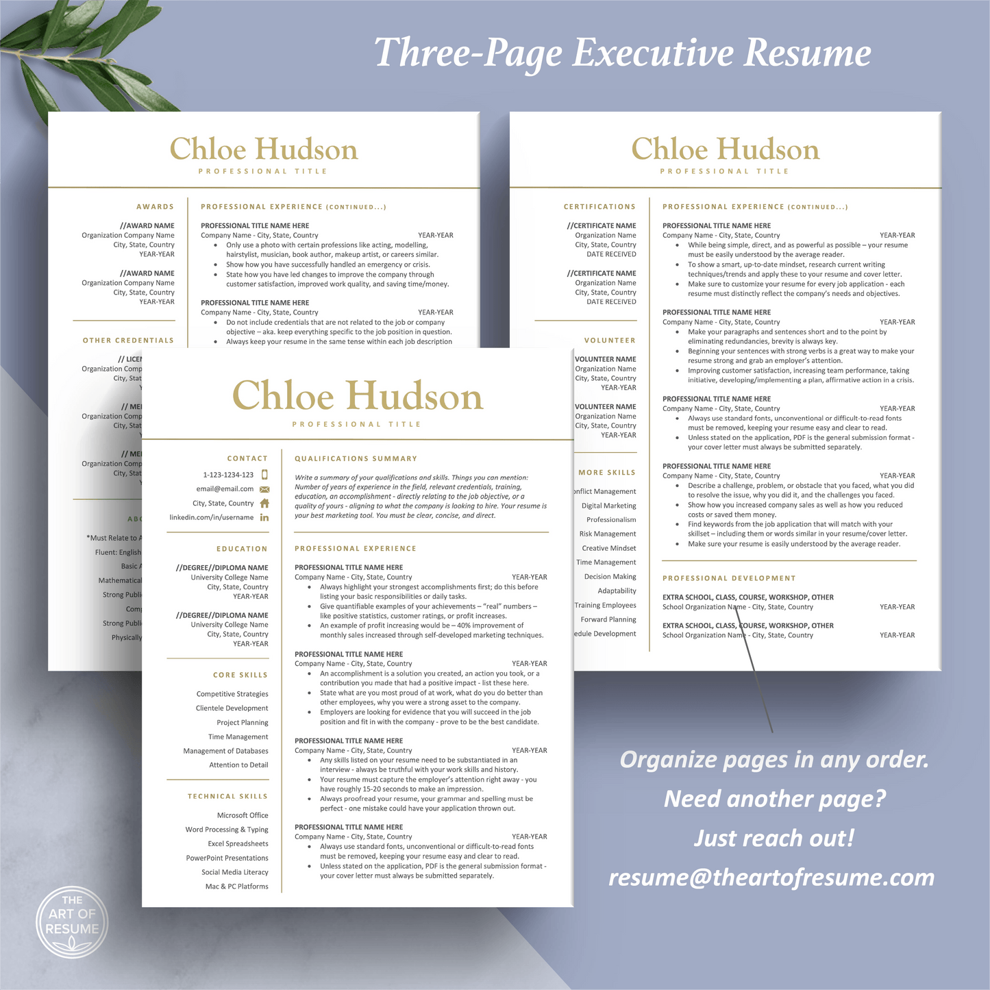 The Art of Resume Templates | Three-Page Professional Simple Executive CEO C-Suite Level Resume CV Template Format | Curriculum Vitae