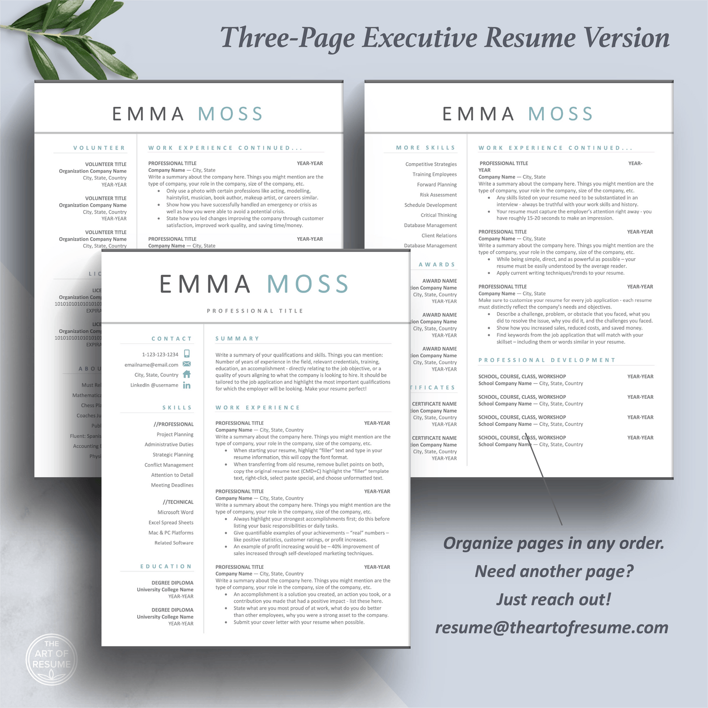 Professional Resume Designs | Matching Cover Letter | Free Resume Writing Guide - The Art of Resume