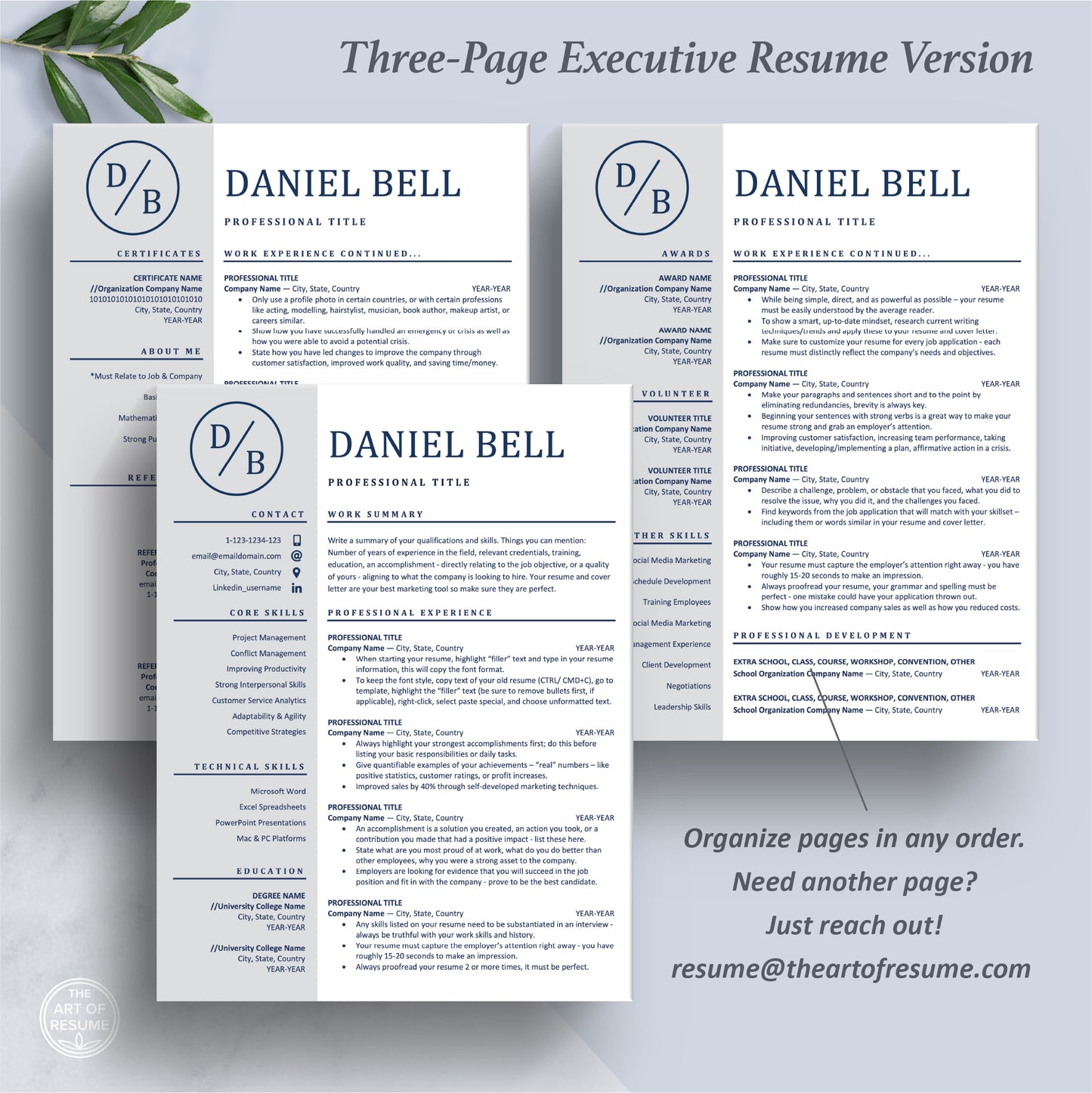Executive Resume Design | Professional Resume CV - The Art of Resume