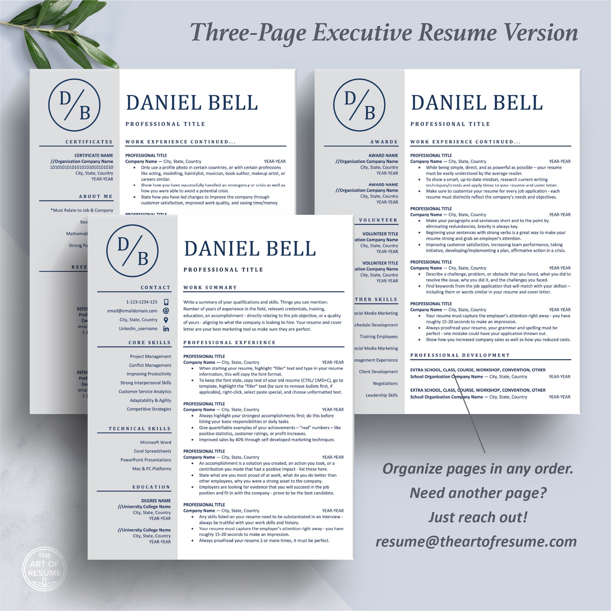Executive Resume Design | Professional Resume CV - The Art of Resume