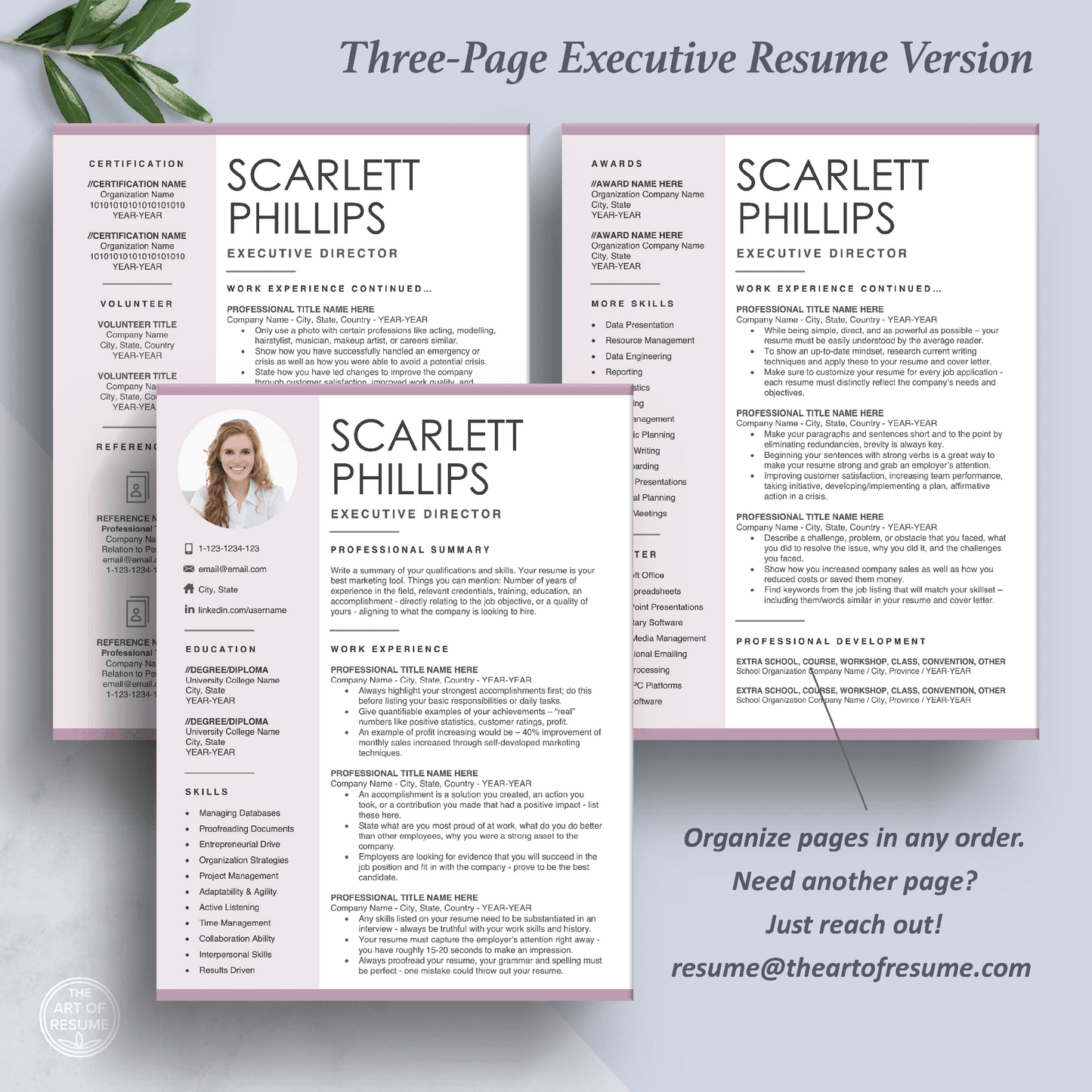 The Art of Resume Templates | Three-Page Executive C Suite Level C-Suite Level Resume CV Template Format | Curriculum Vitae