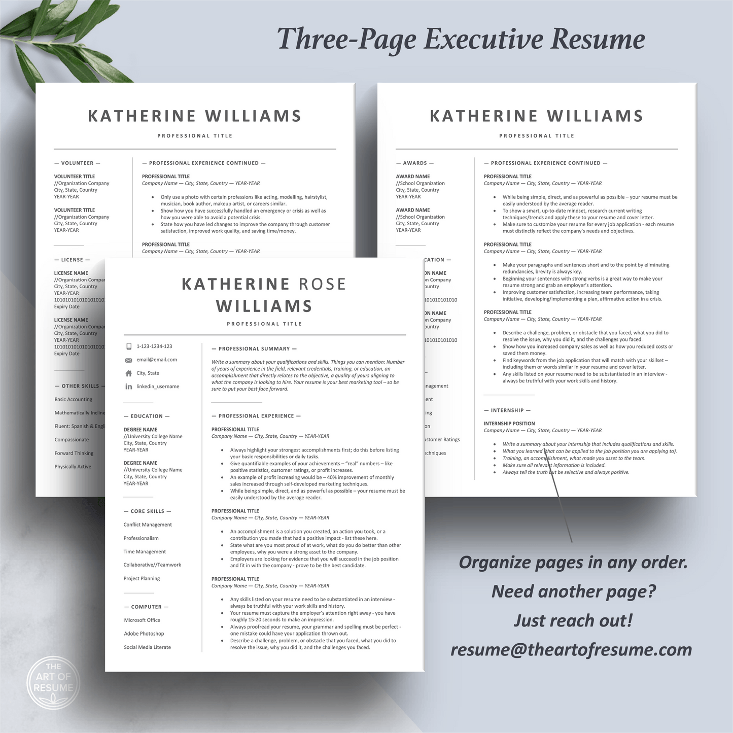 Professional Resume Design | Executive Resume Format | Free Cover Letter - The Art of Resume