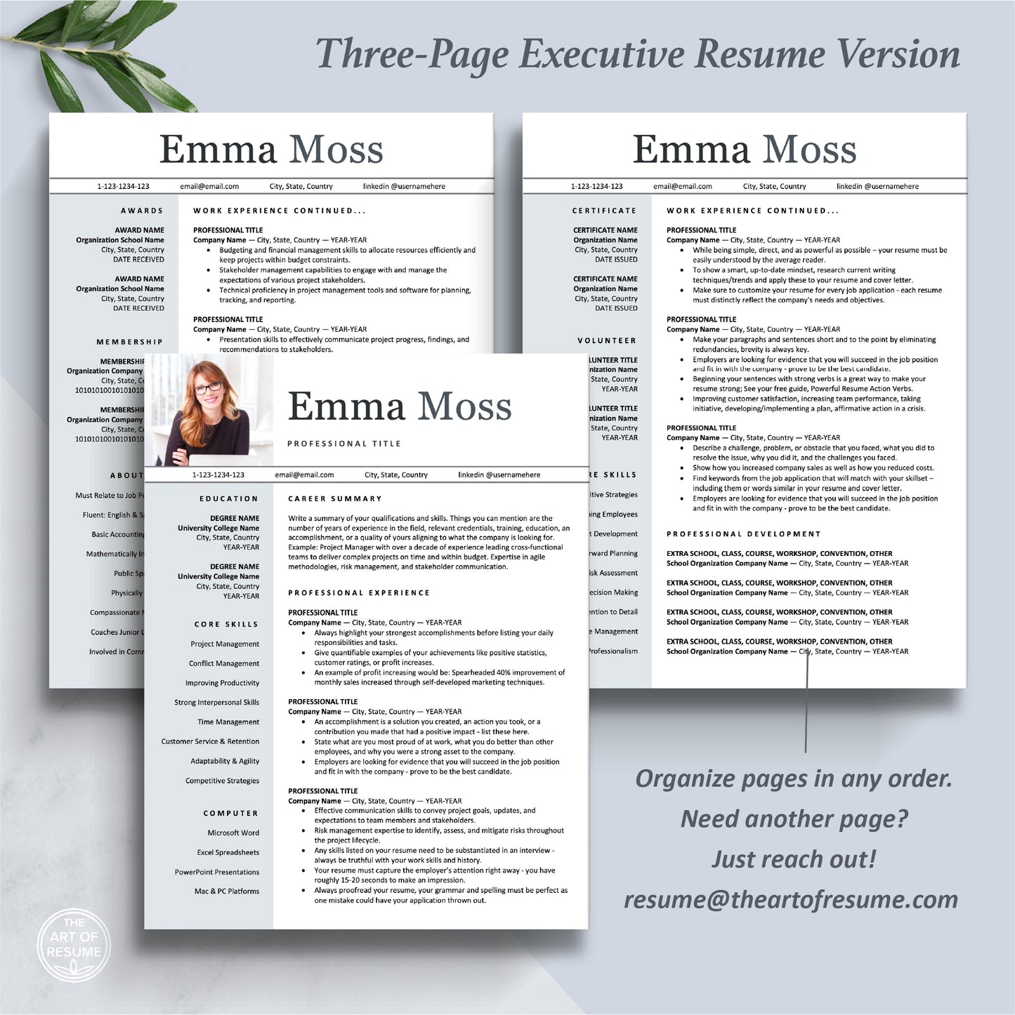 The Art of Resume Templates | Three-Page Executive C Suite Level C-Suite Level Resume CV Template Format | Curriculum Vitae