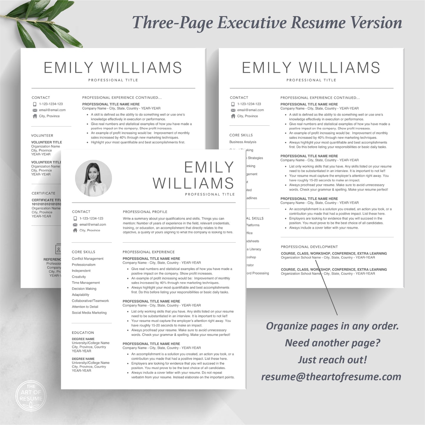 The Art of Resume | Professional Resume CV Template Design with Photo Picture | Three Page Executive Resume Format
