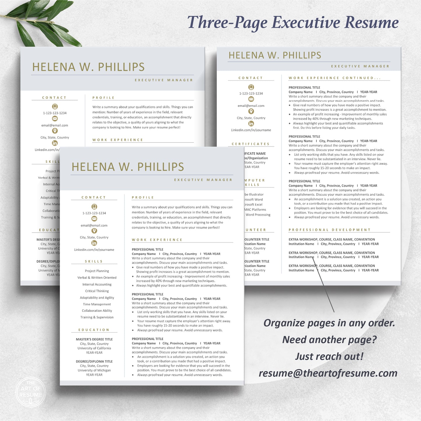 The Art of Resume Templates | Three-Page Executive C Suite Level C-Suite Level Resume CV Template Format | Curriculum Vitae