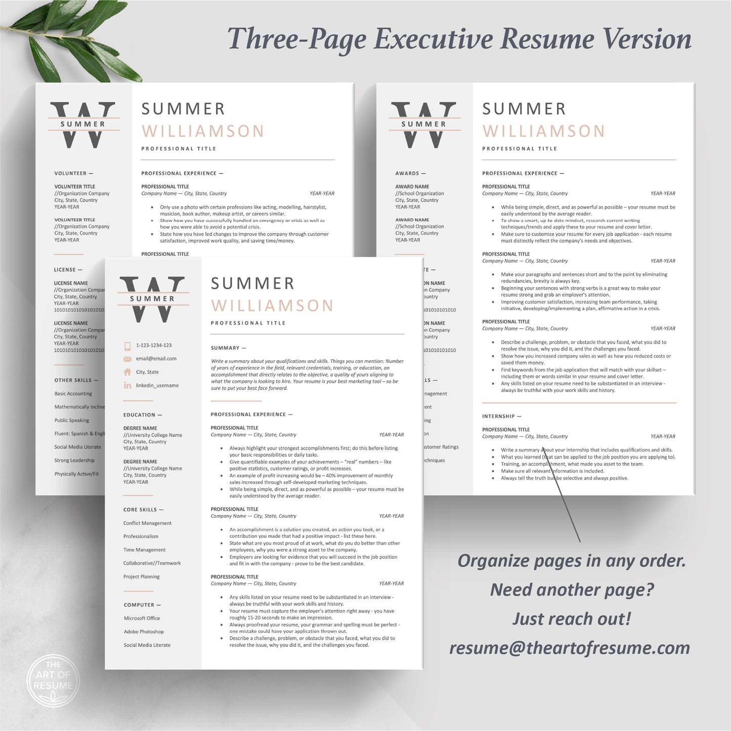 The Art of Resume Templates | Three-Page Executive C Suite Level C-Suite Level  Resume CV Template Format | Curriculum Vitae