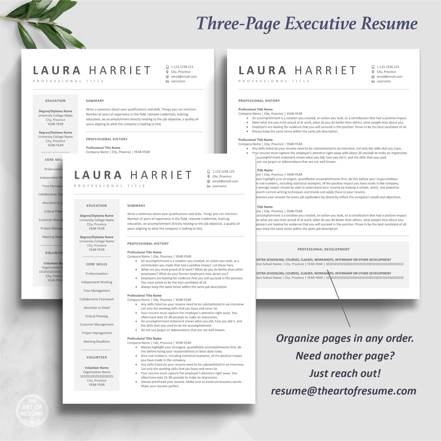 The Art of Resume Templates | Three-Page Executive C Suite Level C-Suite Level  Resume CV Template Format | Curriculum Vitae