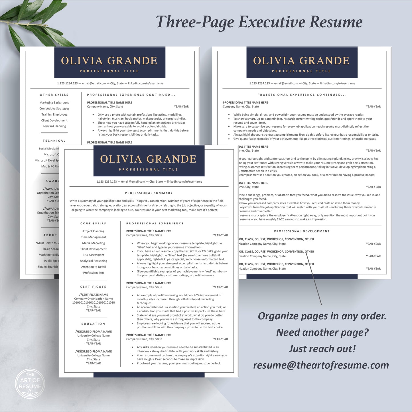 The Art of Resume Templates | Three-Page Executive C Suite Level C-Suite Level Resume CV Template Format | Curriculum Vitae