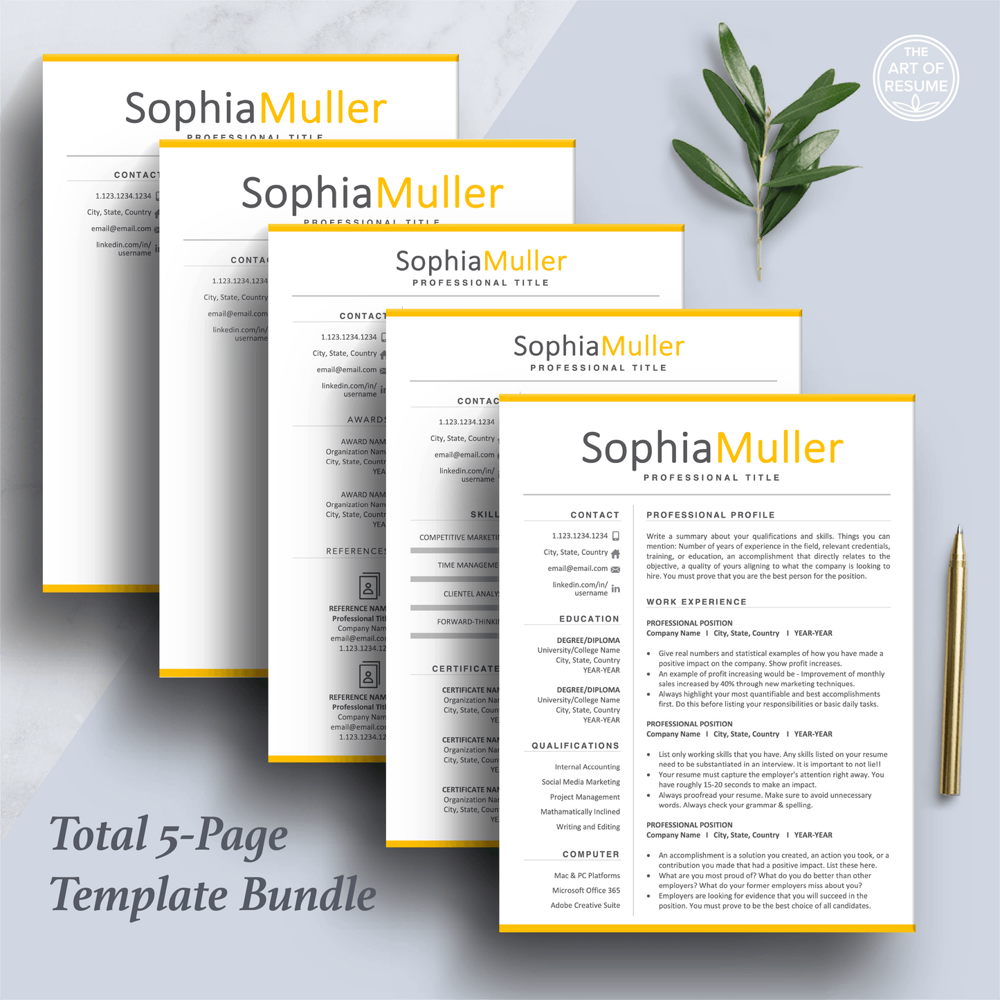 Professional Resume CV Template | Executive Resume Format | Resume Writing Guide - The Art of Resume