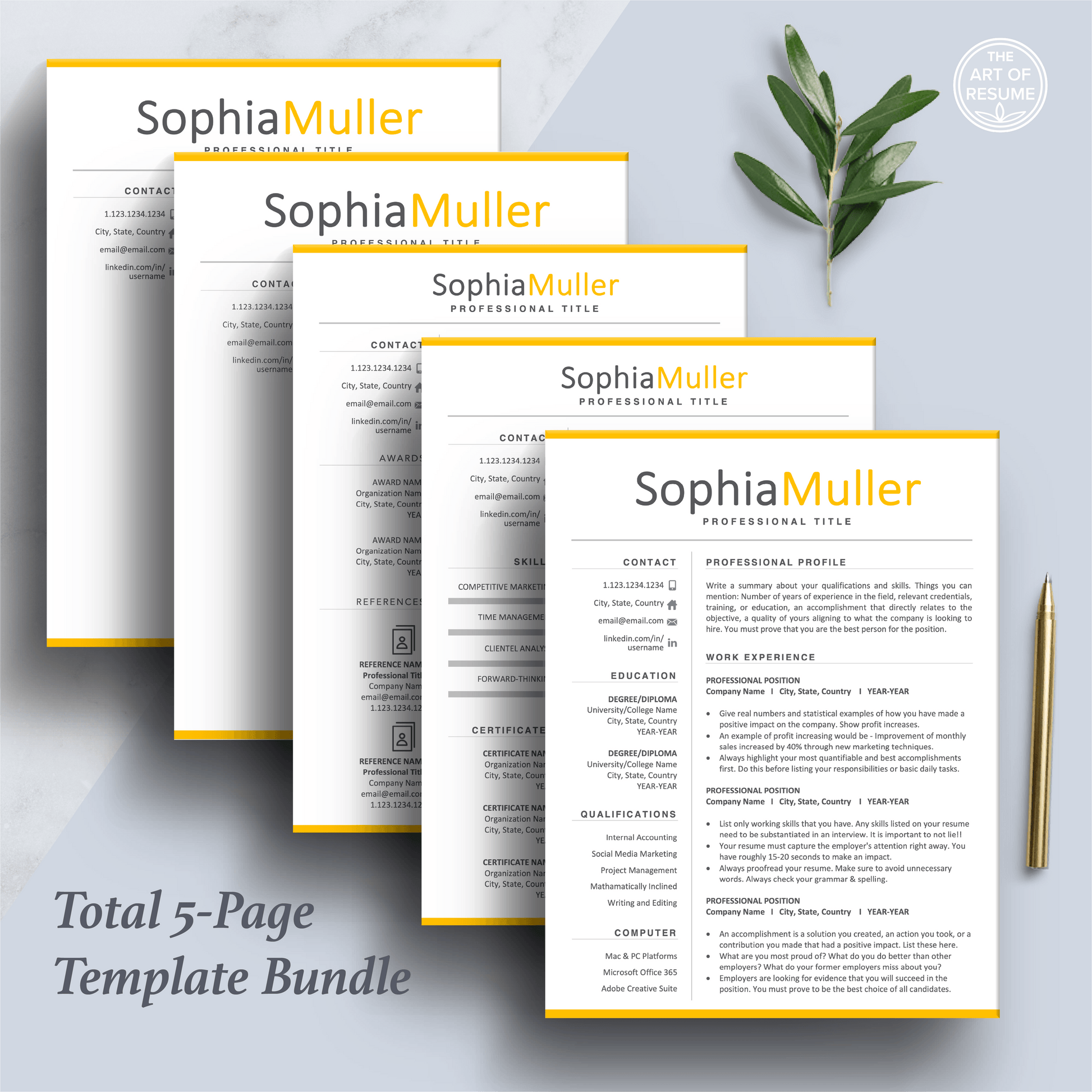 Professional Resume CV Template | Executive Resume Format | Resume Writing Guide - The Art of Resume