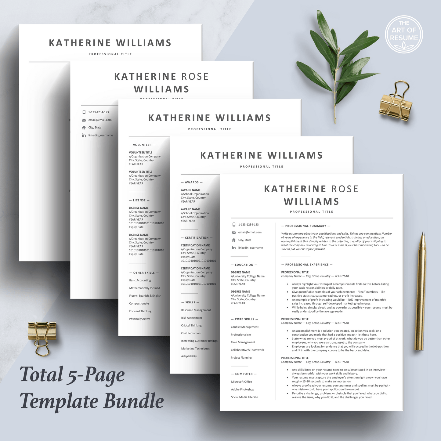 Professional Resume Design | Executive Resume Format | Free Cover Letter - The Art of Resume