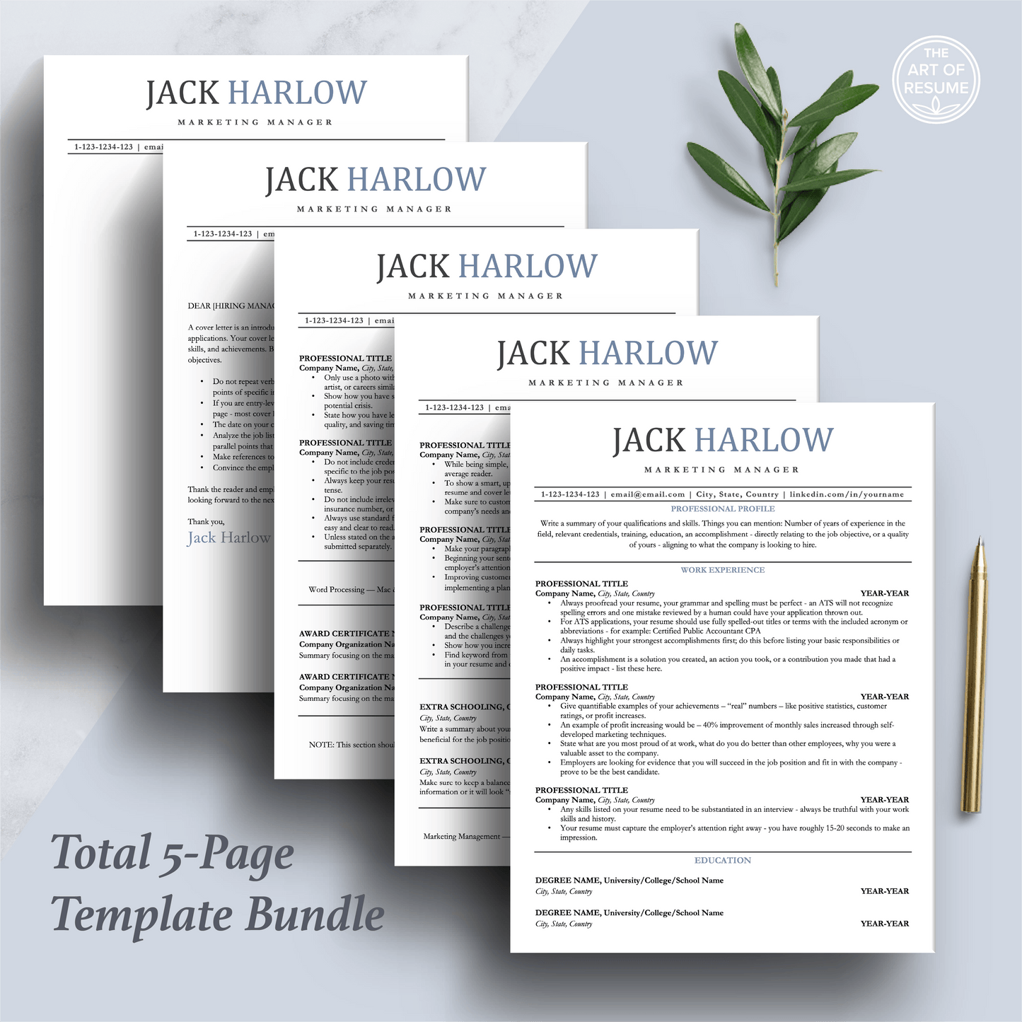 Professional ATS Resume CV Template | Applicant Tracking System Friendly | One-Column CV - The Art of Resume