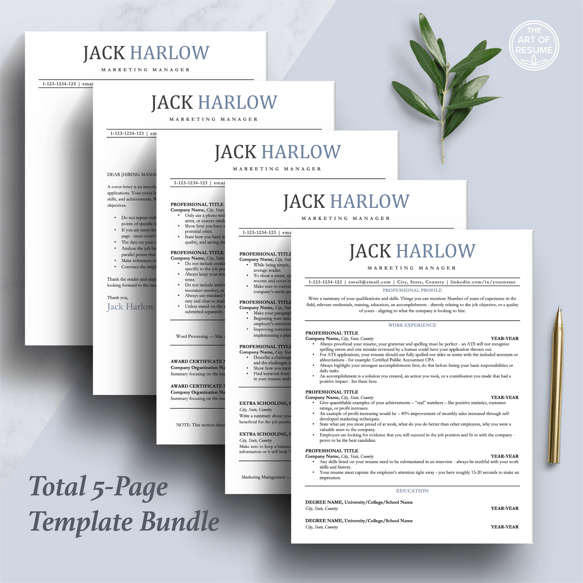 Professional ATS Resume CV Template | Applicant Tracking System Friendly | One-Column CV - The Art of Resume