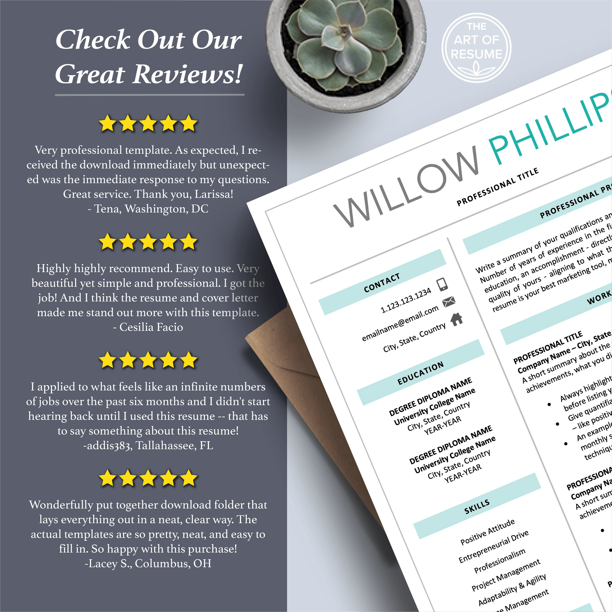 Professional Resume Template Bundles, Executive Resume Design - The Art of Resume