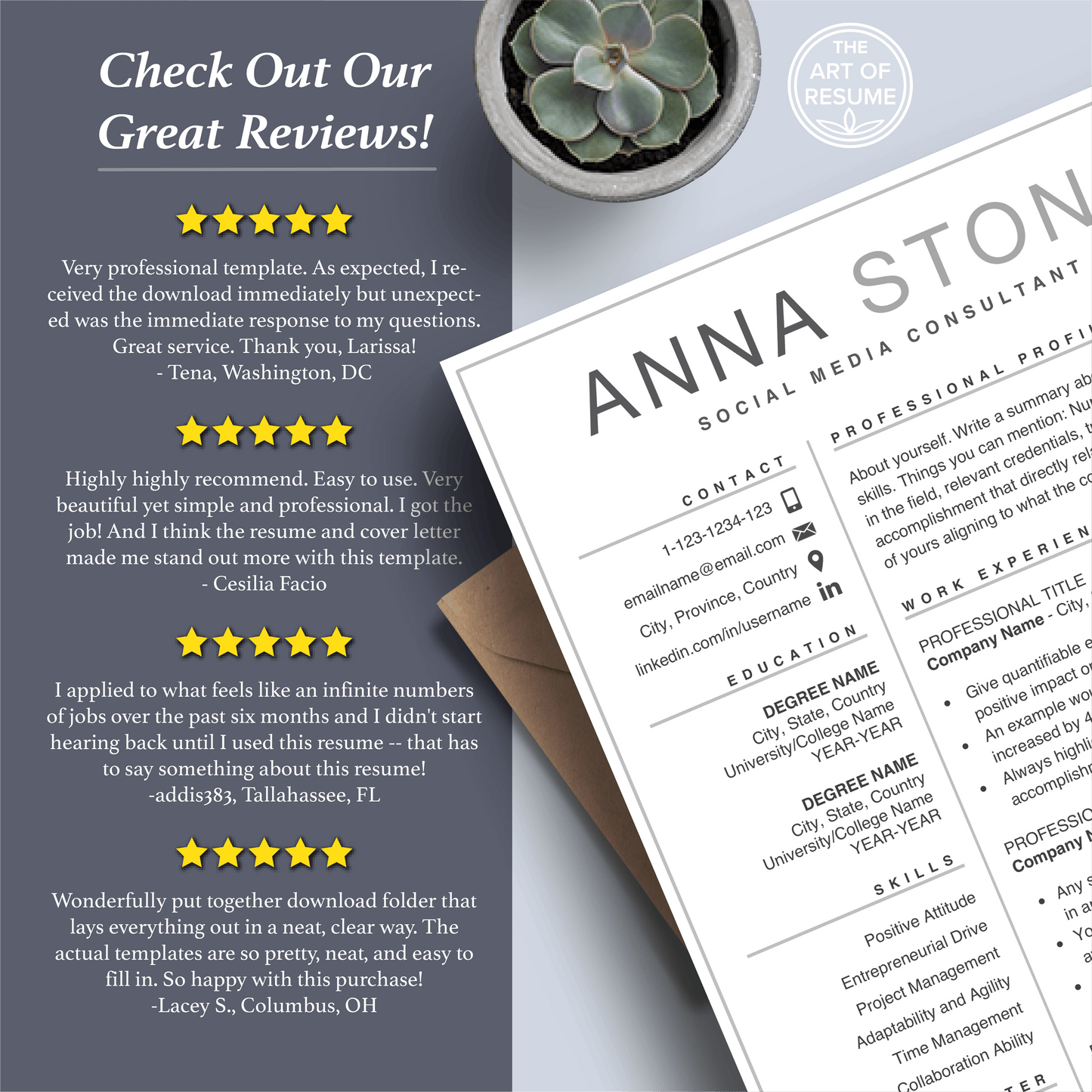 Simple Resume | Professional Resume | Free Resume Writing Guide - The Art of Resume
