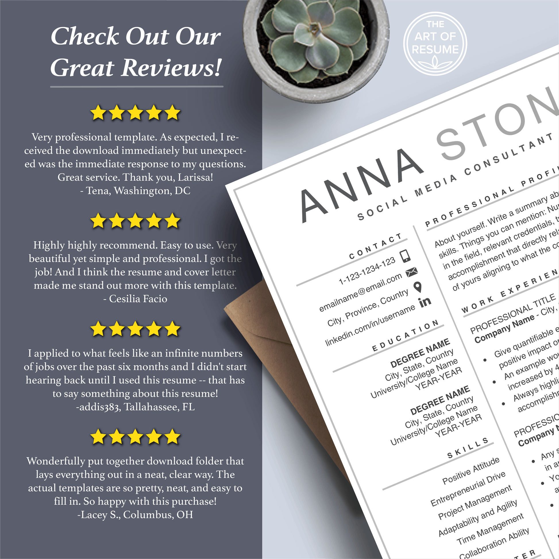Simple Resume | Professional Resume | Free Resume Writing Guide - The Art of Resume