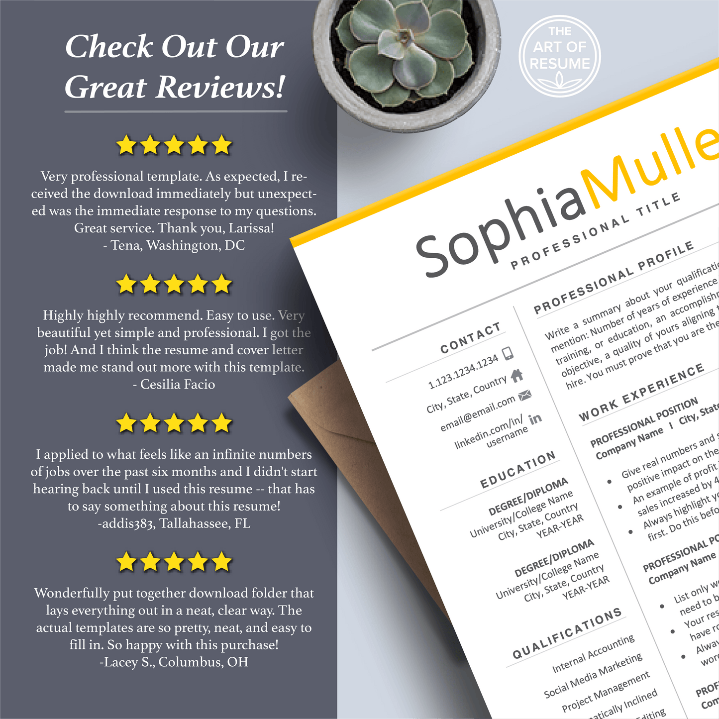 Professional Resume CV Template | Executive Resume Format | Resume Writing Guide - The Art of Resume