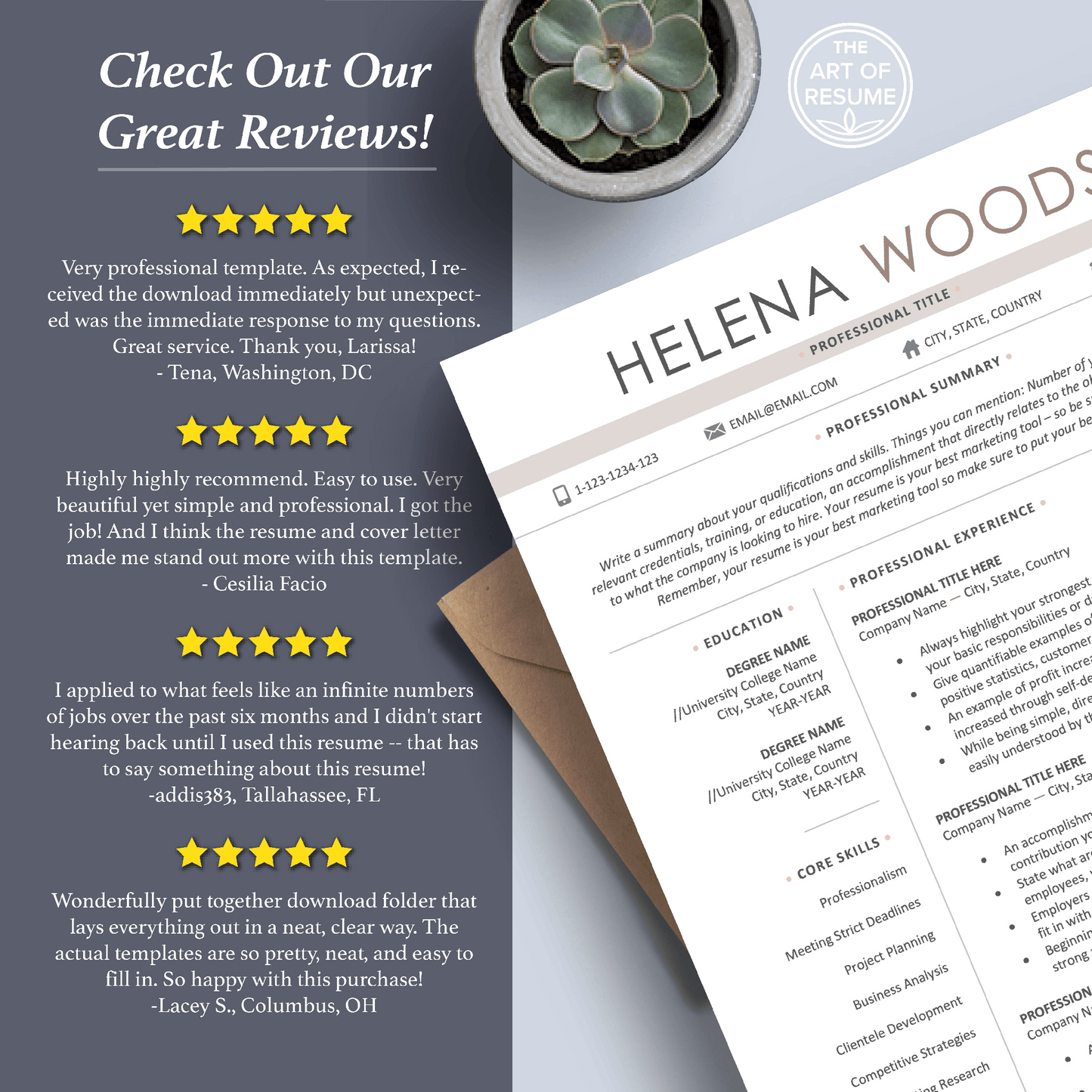 Simple Professional Resume Template | Resume Writing Guide - The Art of Resume