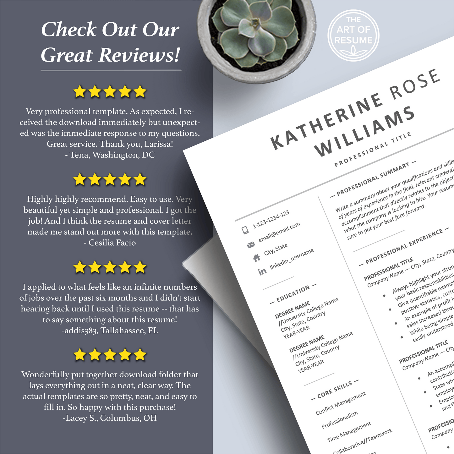 Professional Resume Design | Executive Resume Format | Free Cover Letter - The Art of Resume