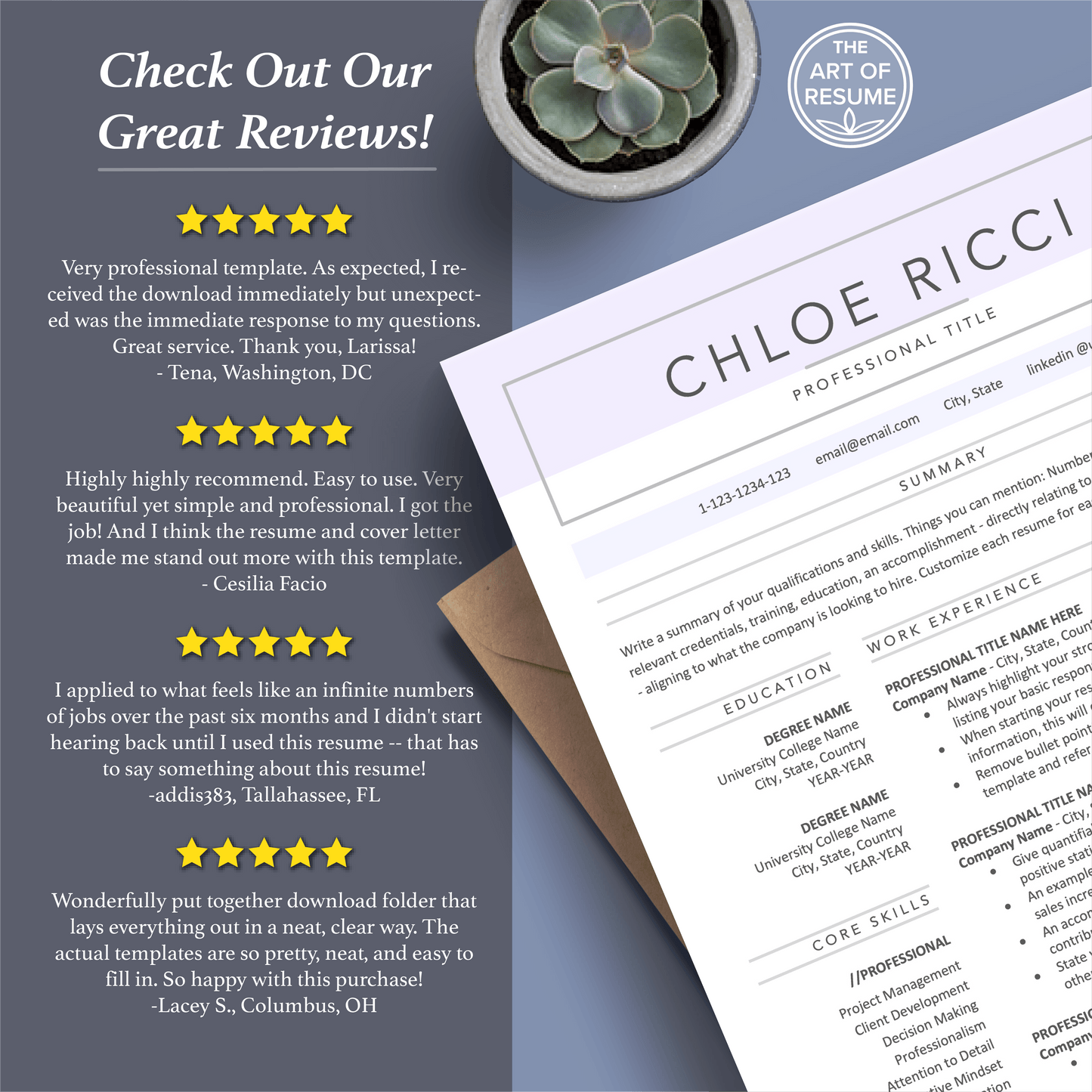 The Art of Resume Templates | Professional Simple Pink Blue Resume CV Templates Online 5-Star Reviews