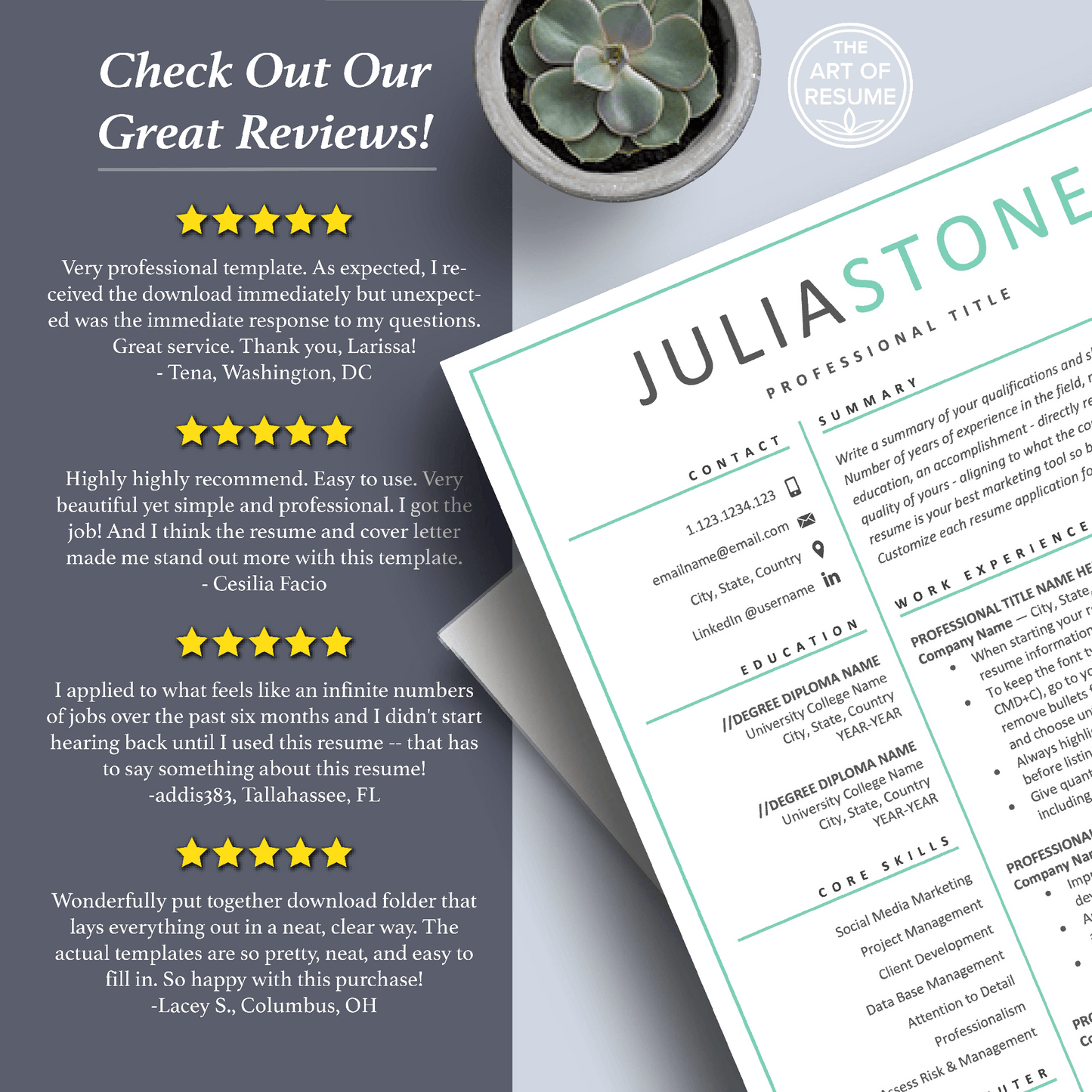Professional Resume Templates | Free Resume Designs Included (Simple) - The Art of Resume