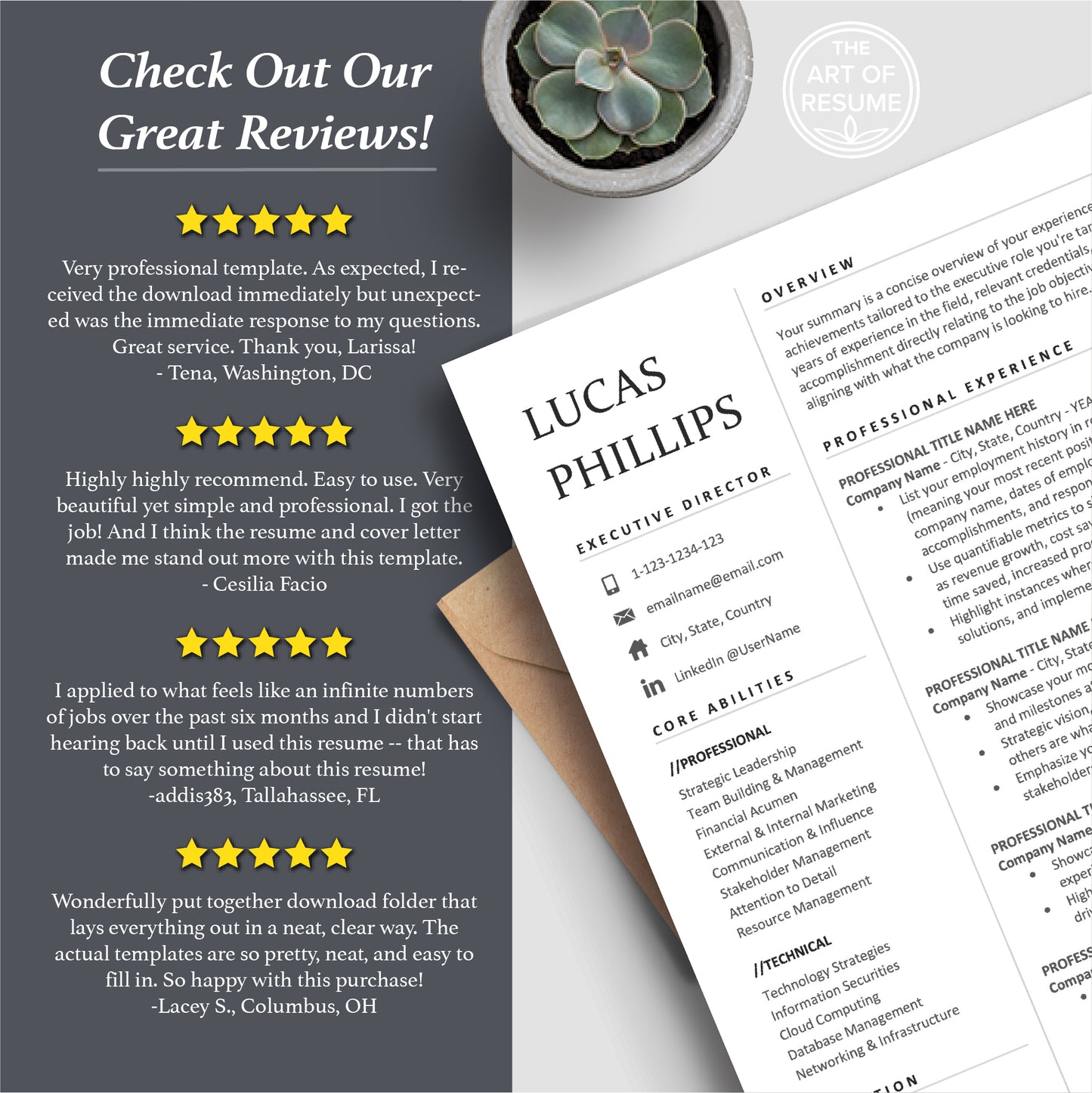 The Art of Resume Templates | Executive C Suite Level Resume CV Templates Online 5-Star Reviews