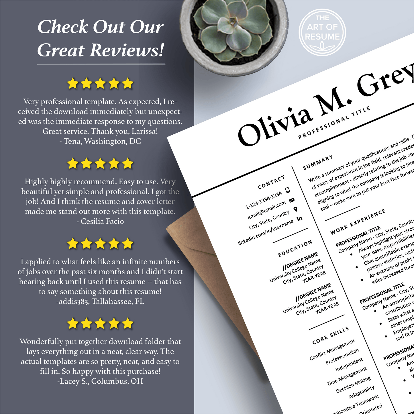 Professional Resume Design | Modern CV Printable | Resume Writing Guide - The Art of Resume