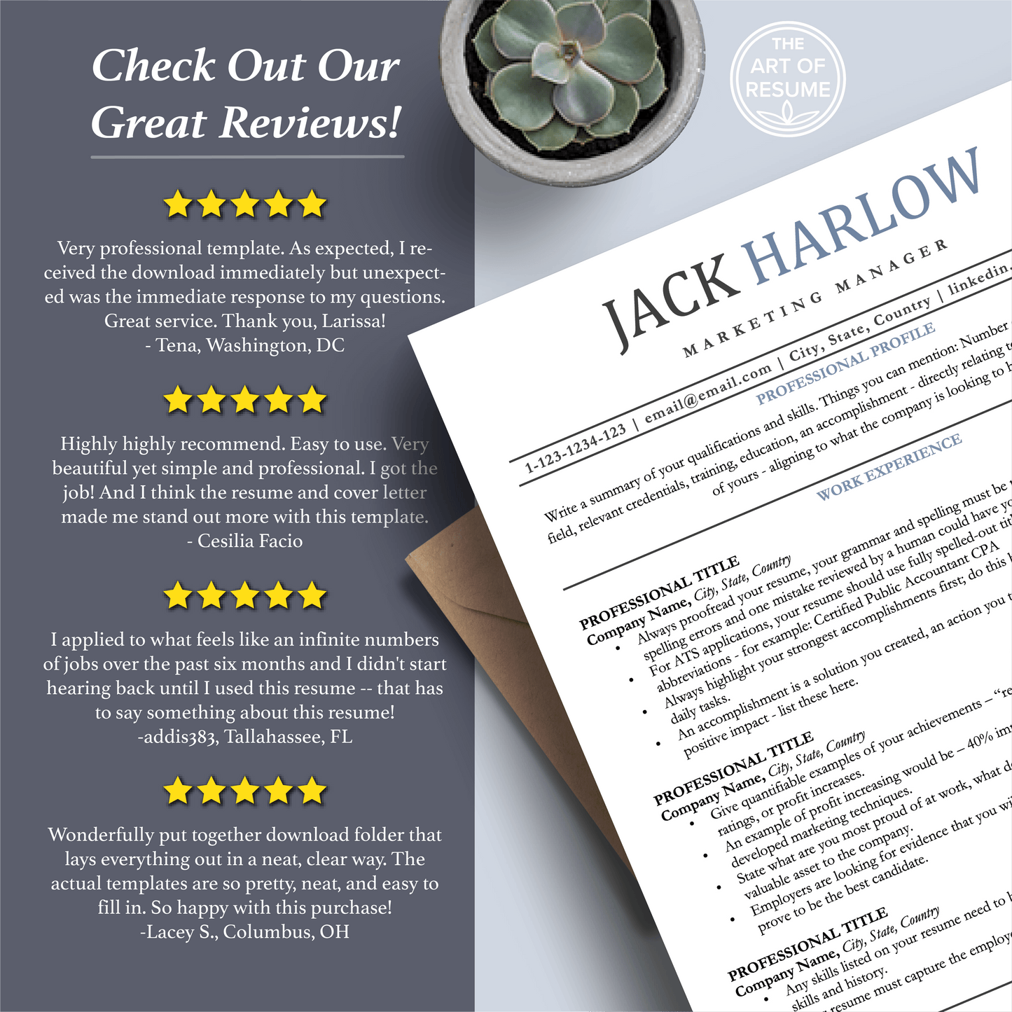 Professional ATS Resume CV Template | Applicant Tracking System Friendly | One-Column CV - The Art of Resume